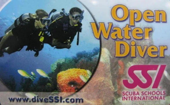 Diving in Batu Ampar Menjangan