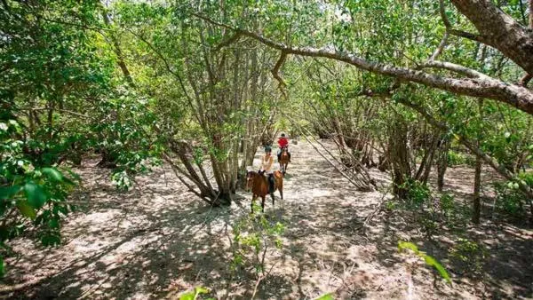 Horse-riding in Batu Ampar Menjangan