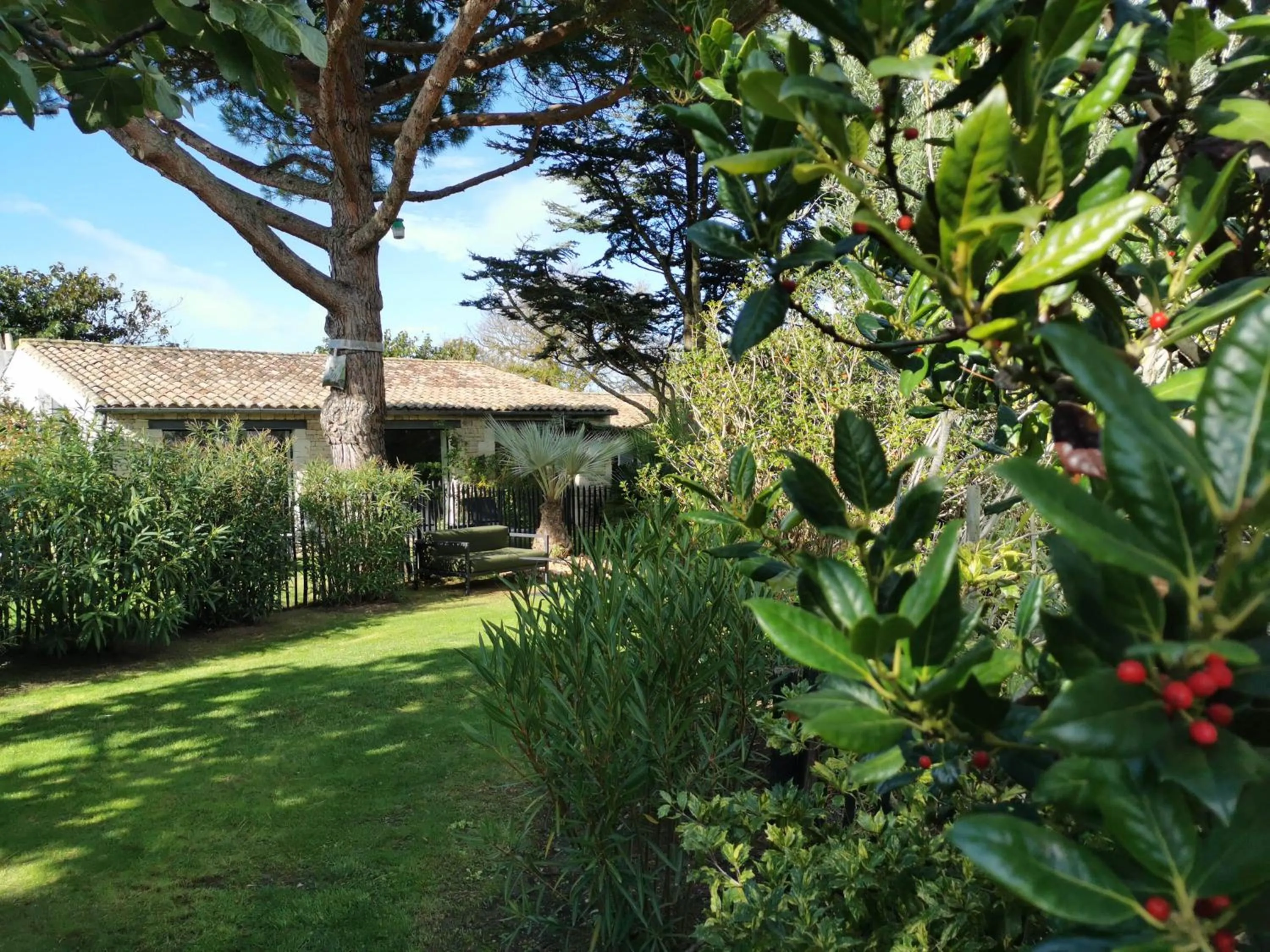 Garden in Le Clos Saint-Martin Hôtel & Spa