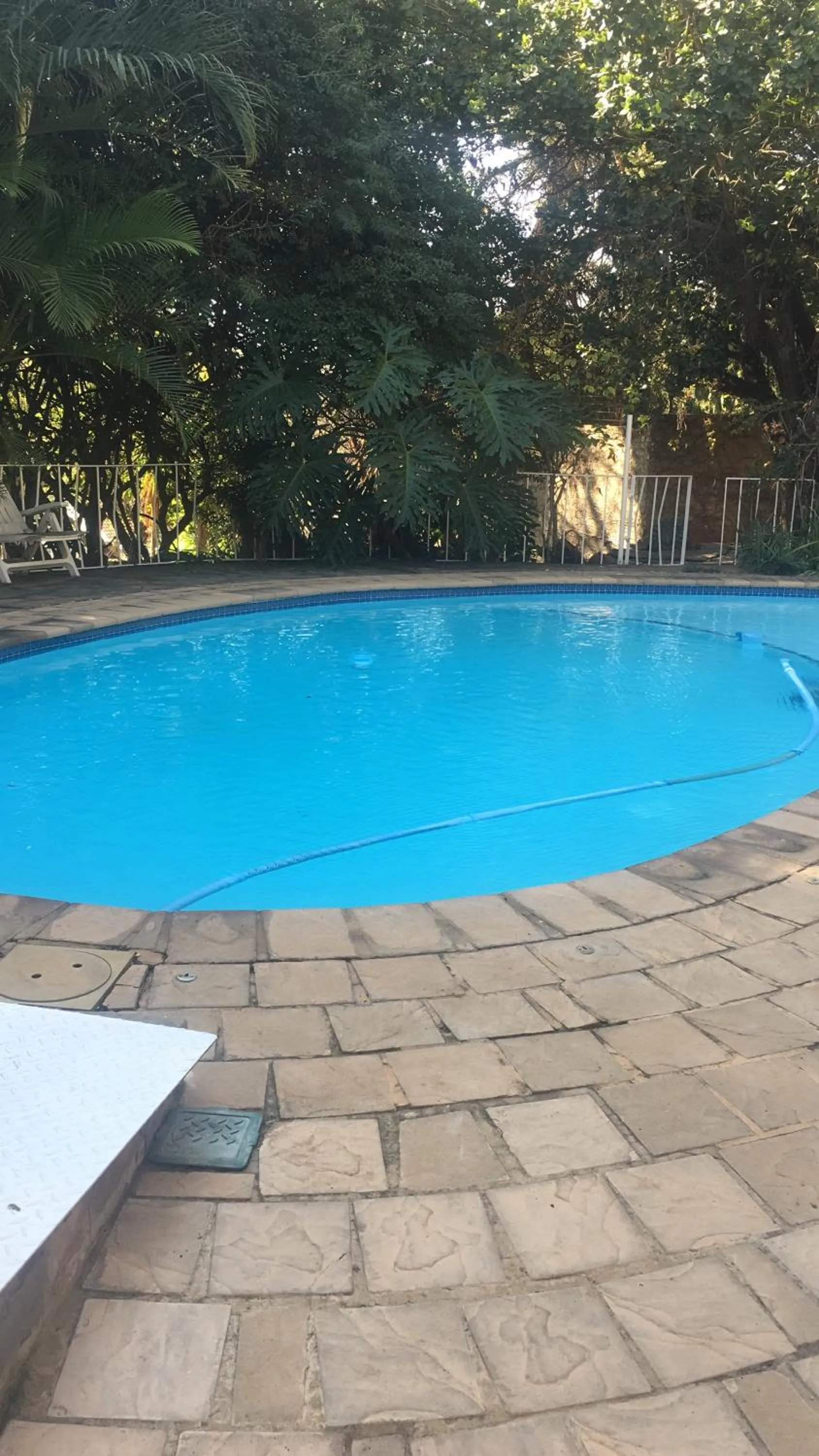 Pool view in Luxury Upmarket Guesthouse 20 on 4th