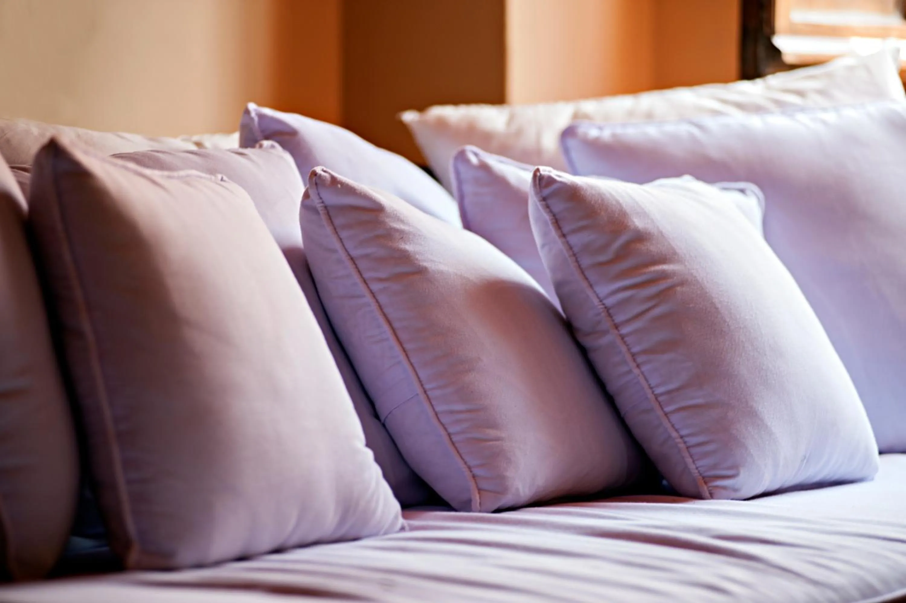 Lobby or reception, Bed in Relais Ciavatta Country Hotel