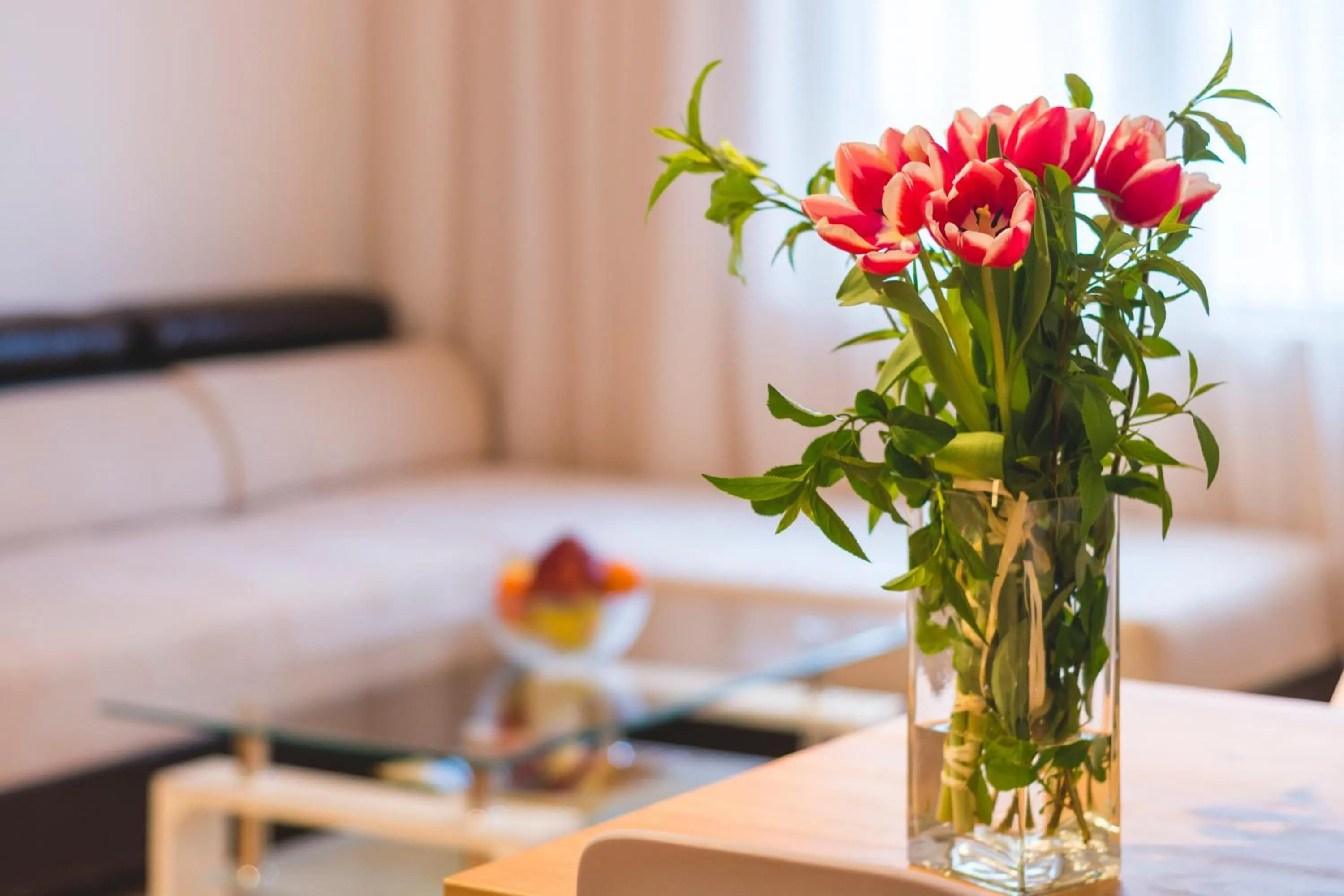 Ibar Apartment & Garage