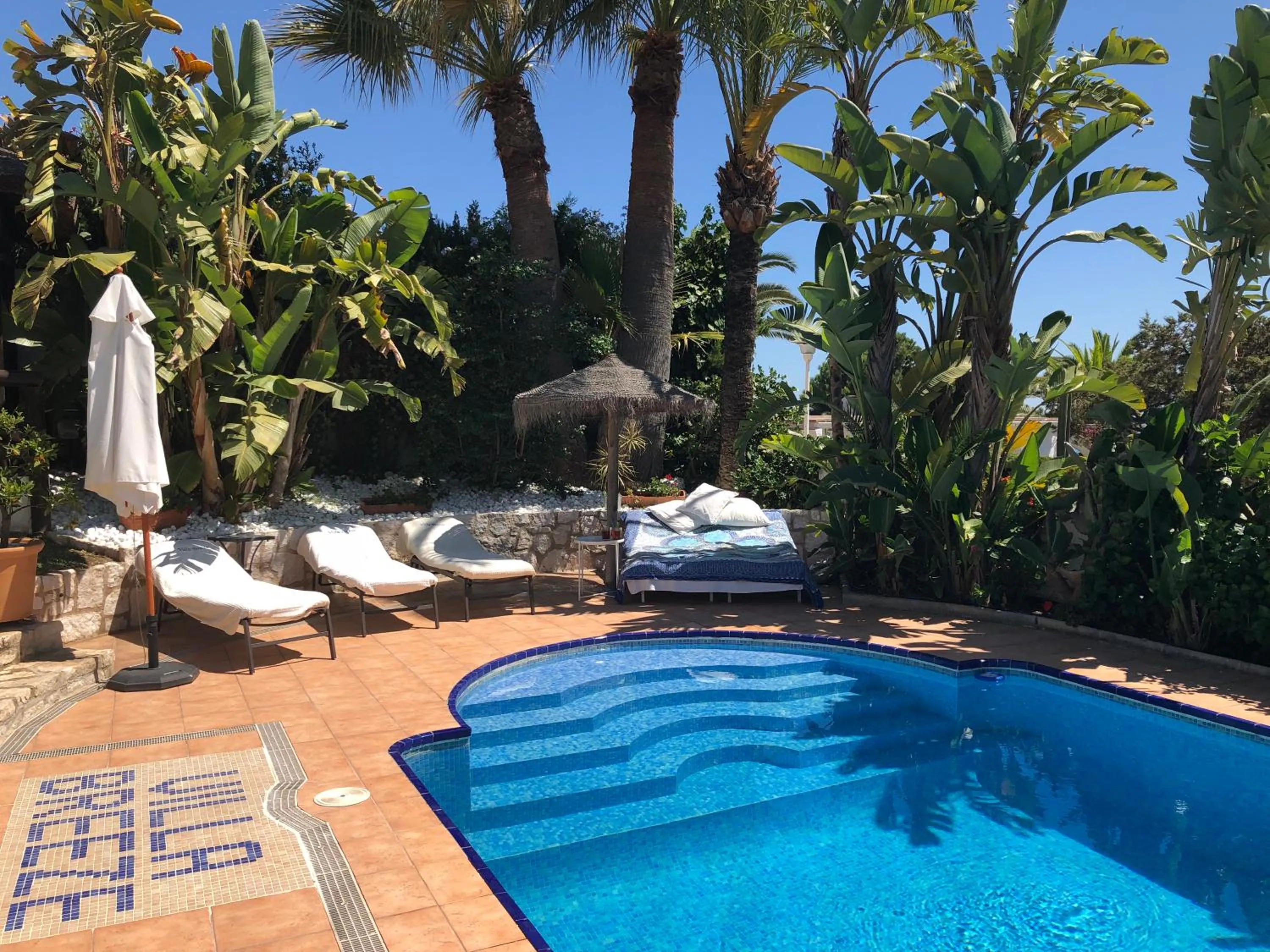 Pool view in Villa Breeze Boutique Guest Rooms, Marbella