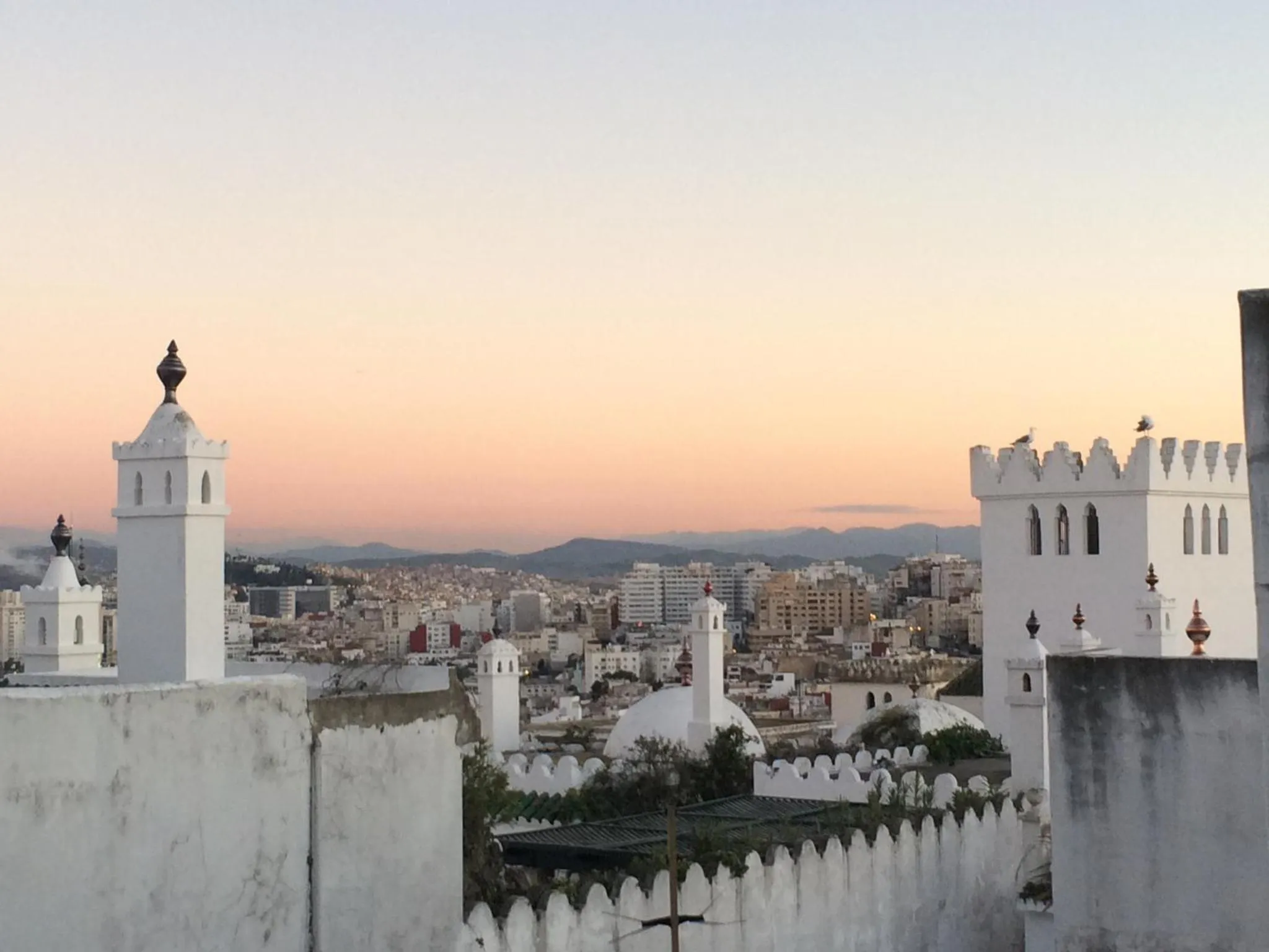 Area and facilities in Villa Breeze Boutique Guest Rooms, Marbella