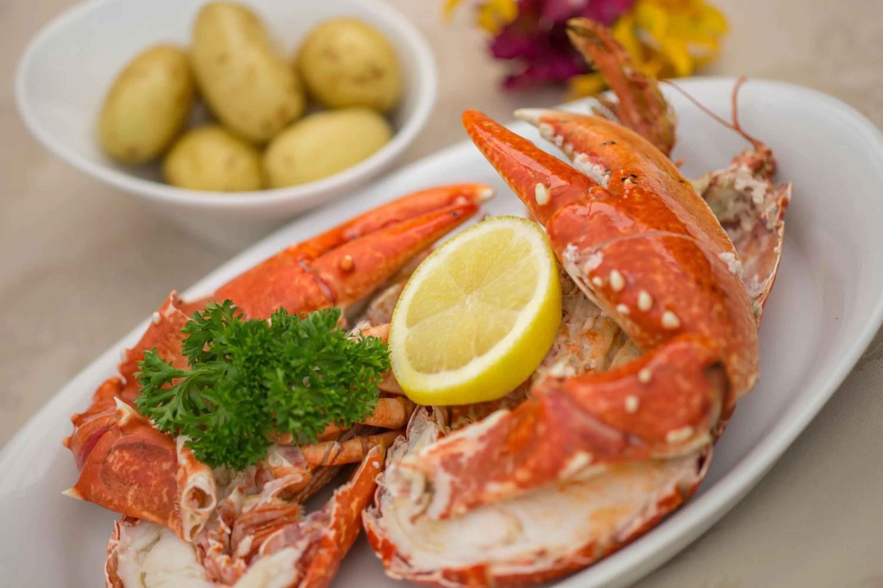 Food close-up in La Barbarie Hotel by Eight Continents