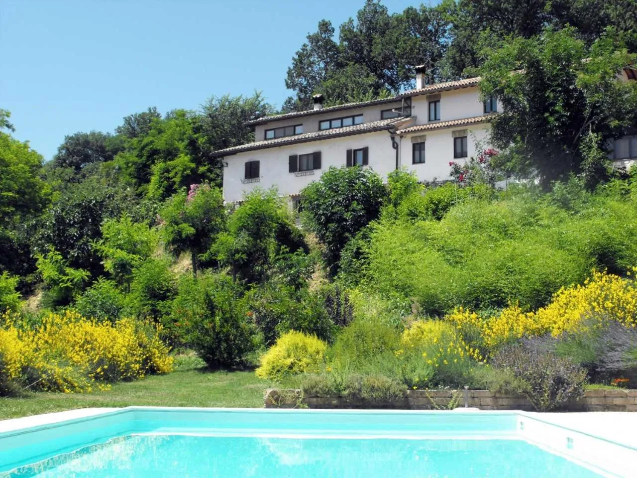 Swimming pool in Bed and breakfast Il Governatore