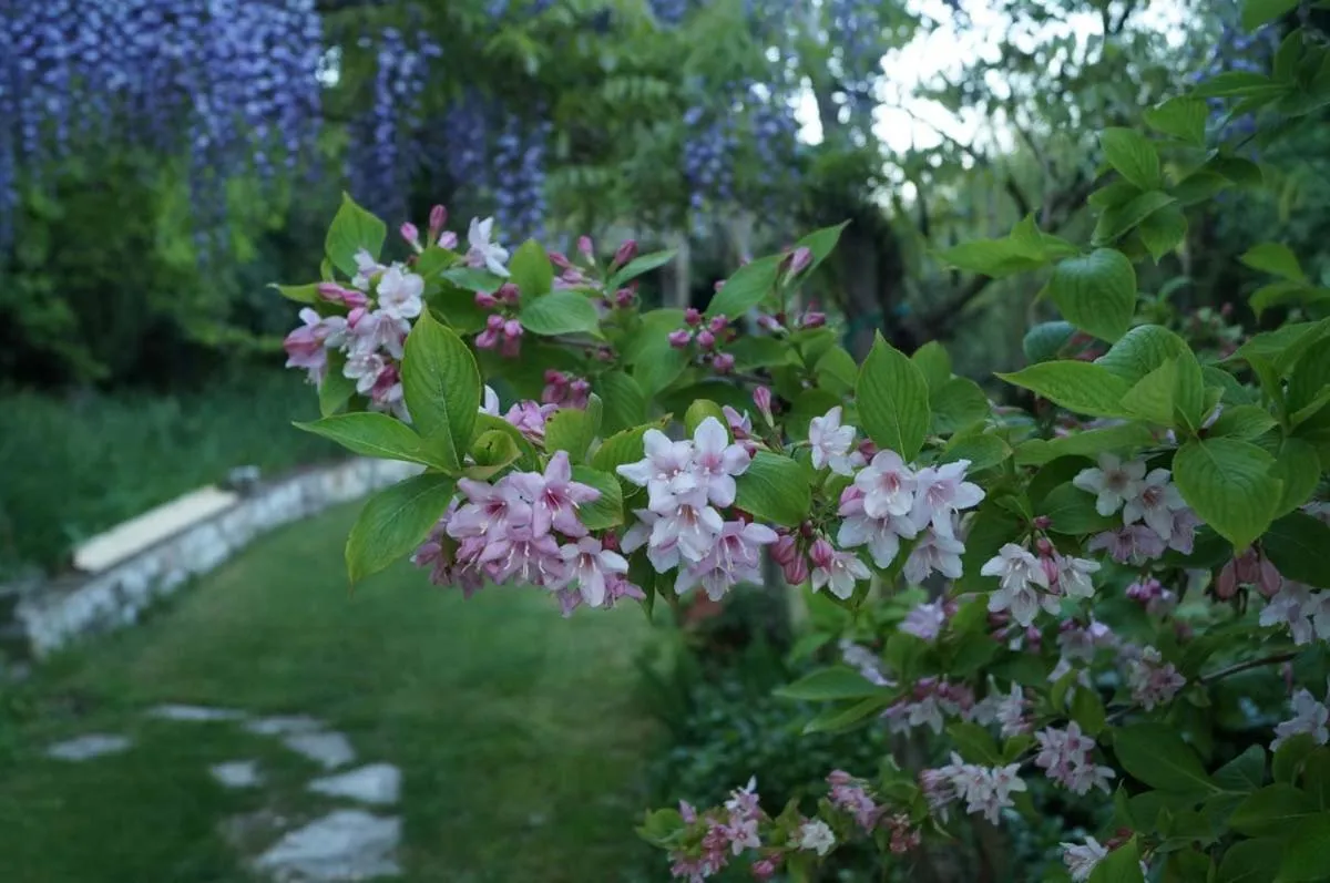 Bed and breakfast Il Governatore