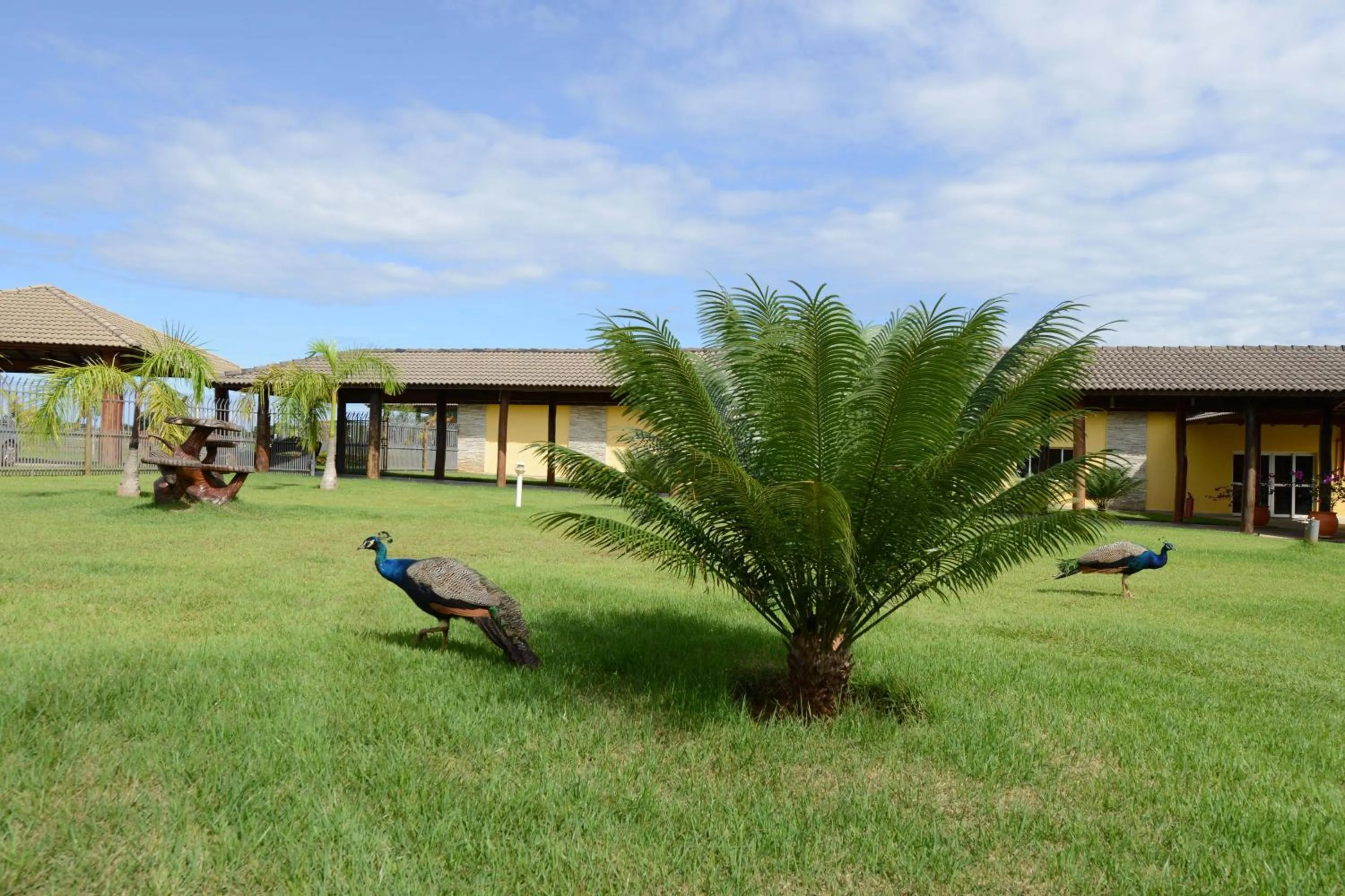Garden in Pousada Haras Santa Rita