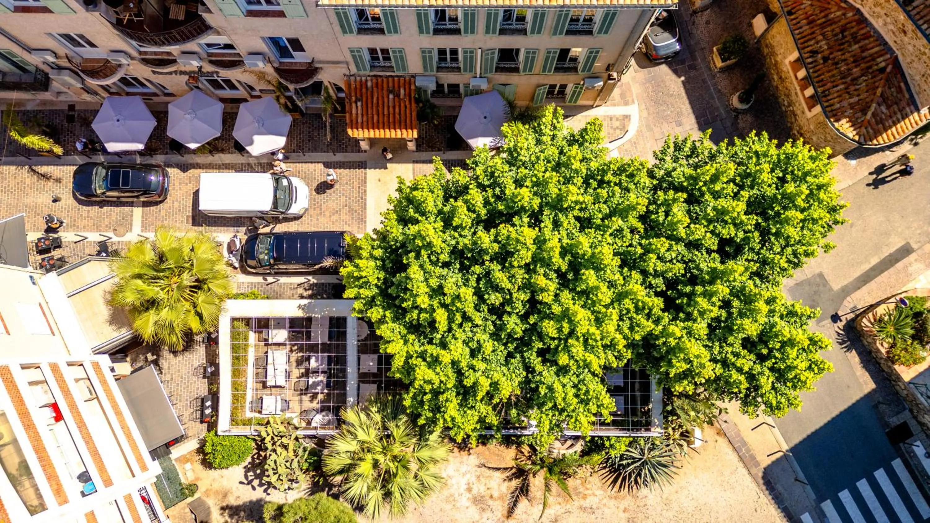 Neighbourhood in Hotel Les Palmiers