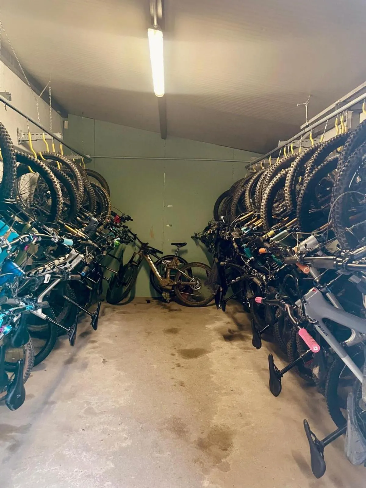 Cycling in Hotel Florenz