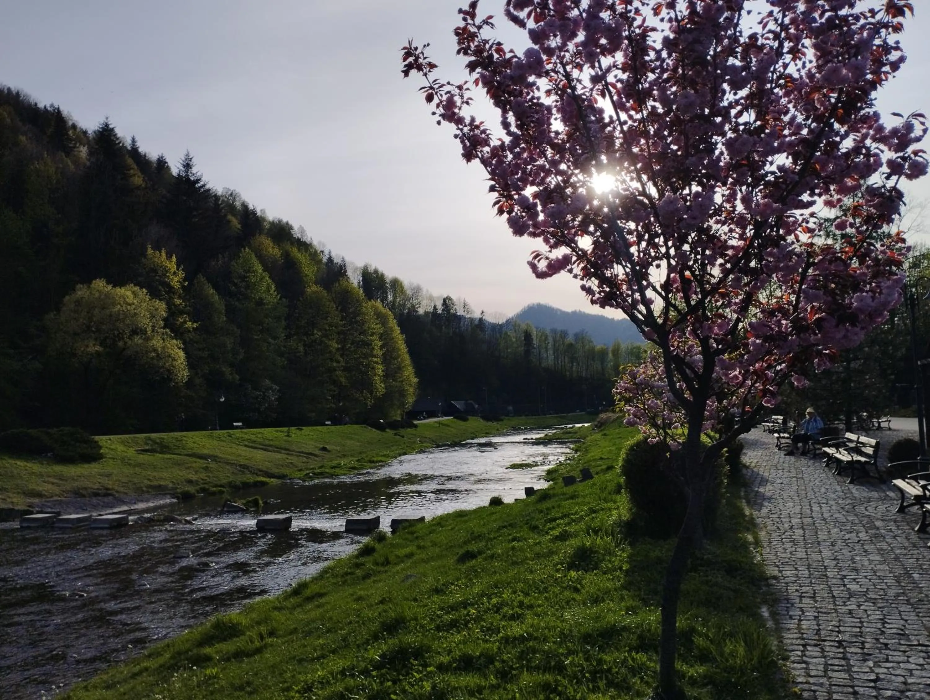 Apartament JBF Homole