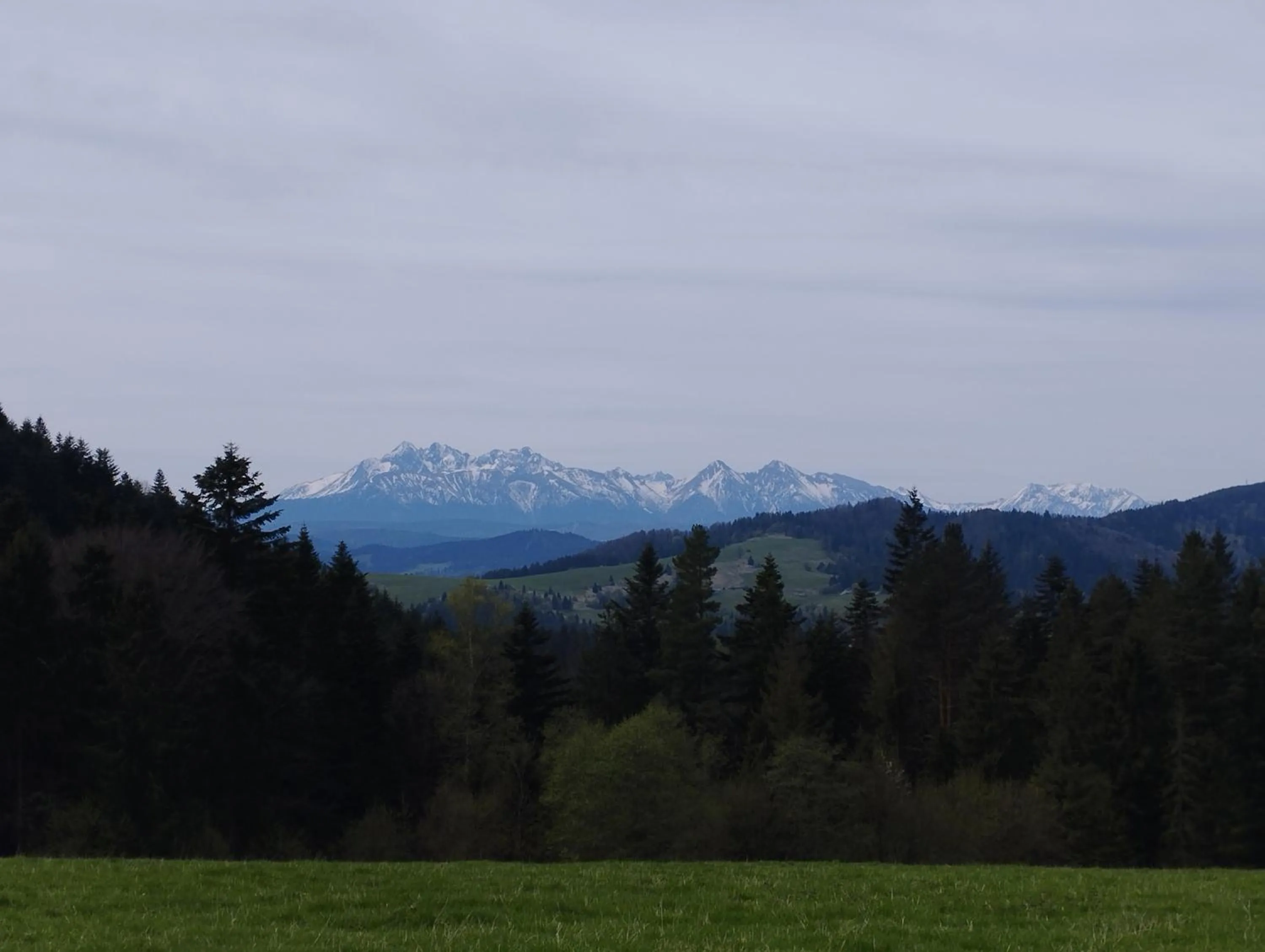 Apartament JBF Homole