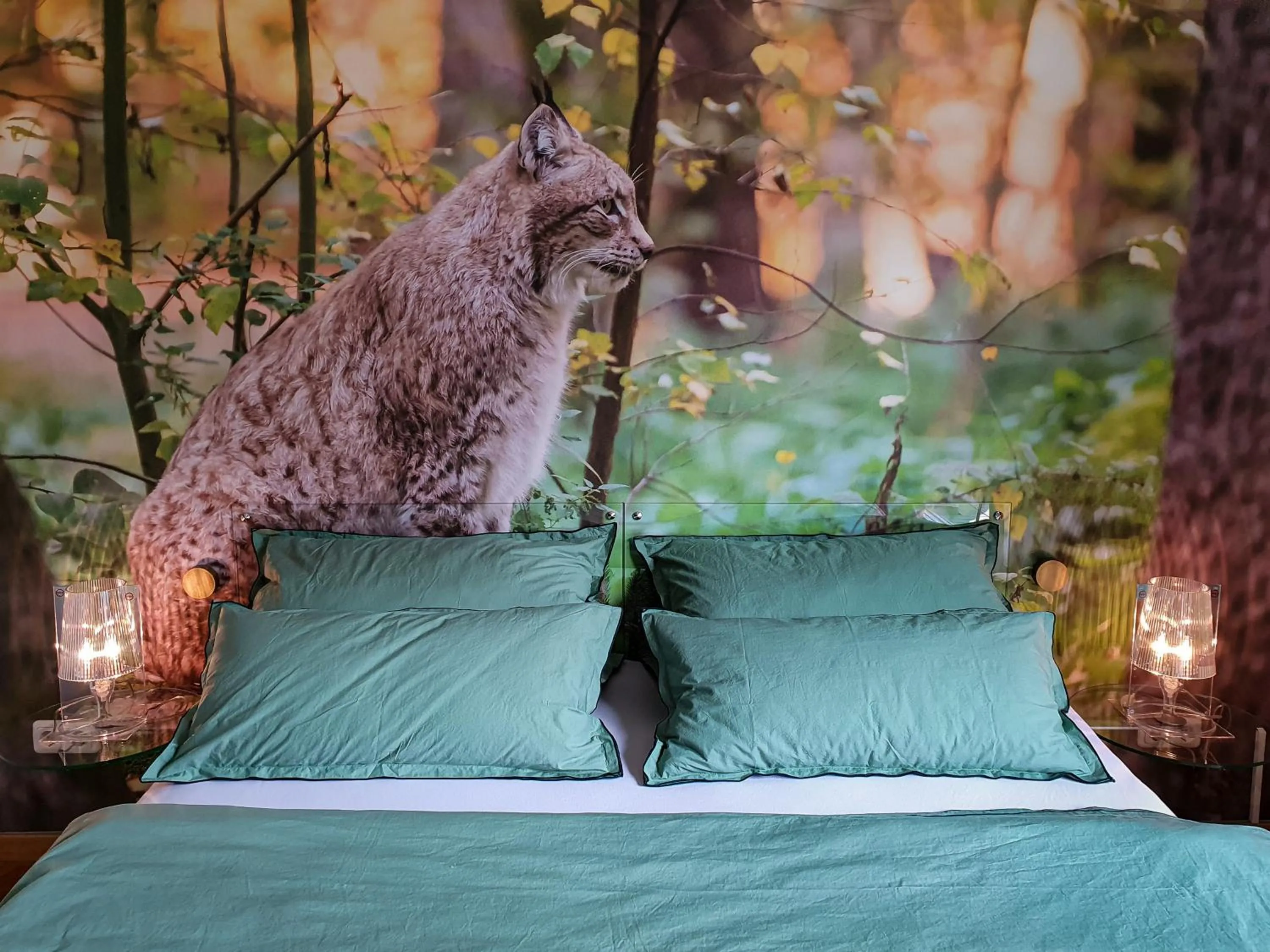 Bed in Echt-Harz-Fewo