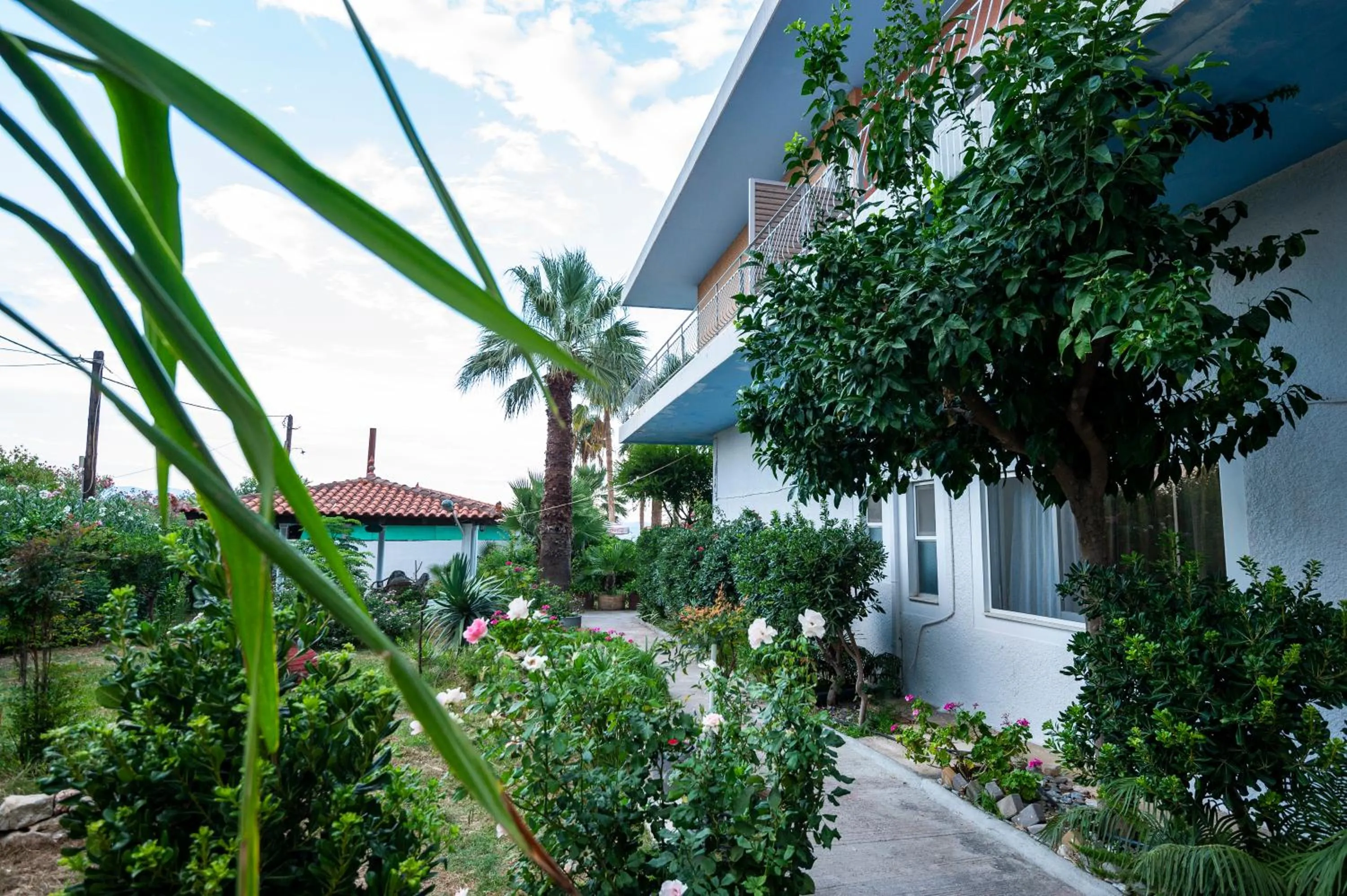 Garden in Hotel Agamemnon Beach