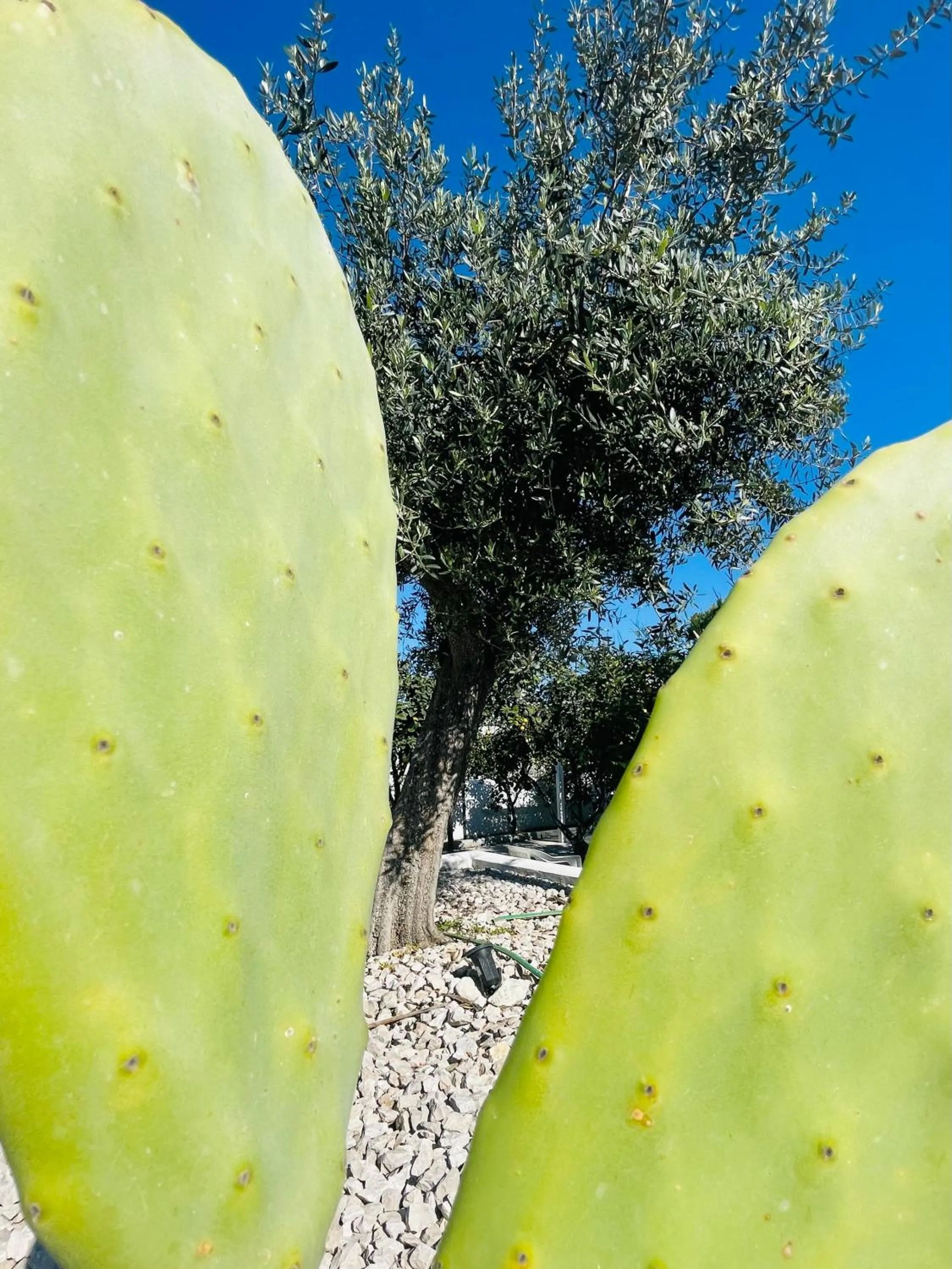 B&B Villa D'Amato