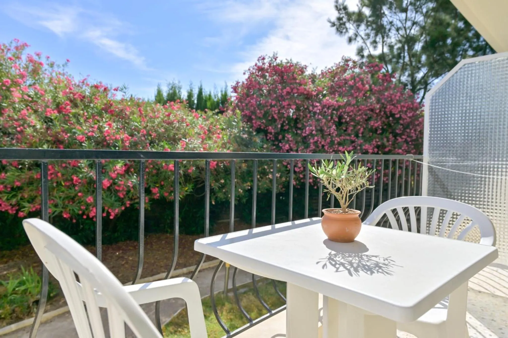 Balcony/Terrace in MOTEL ASCOT - Hotel & Appartements