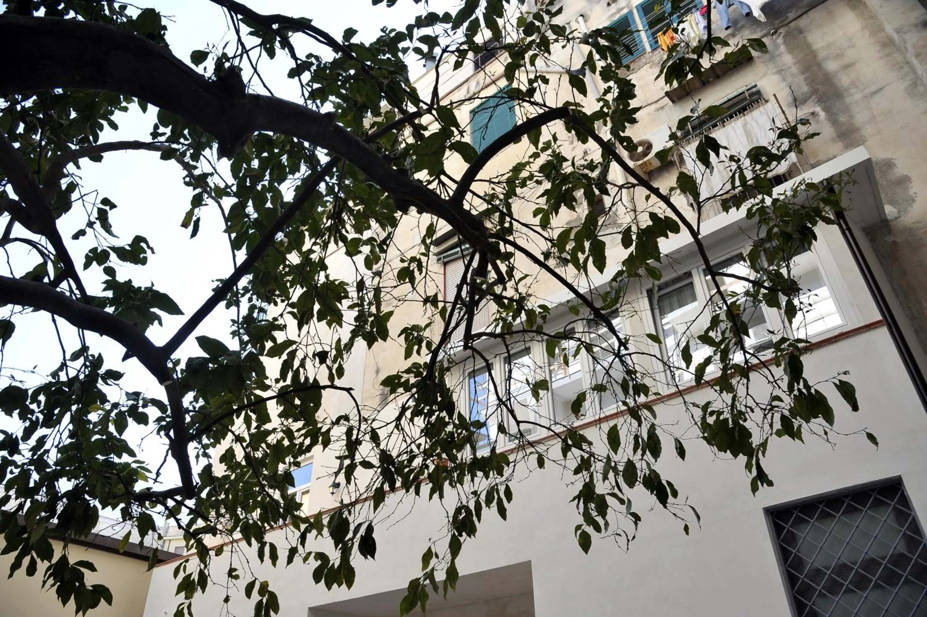 Facade/entrance in A Due Passi B&B