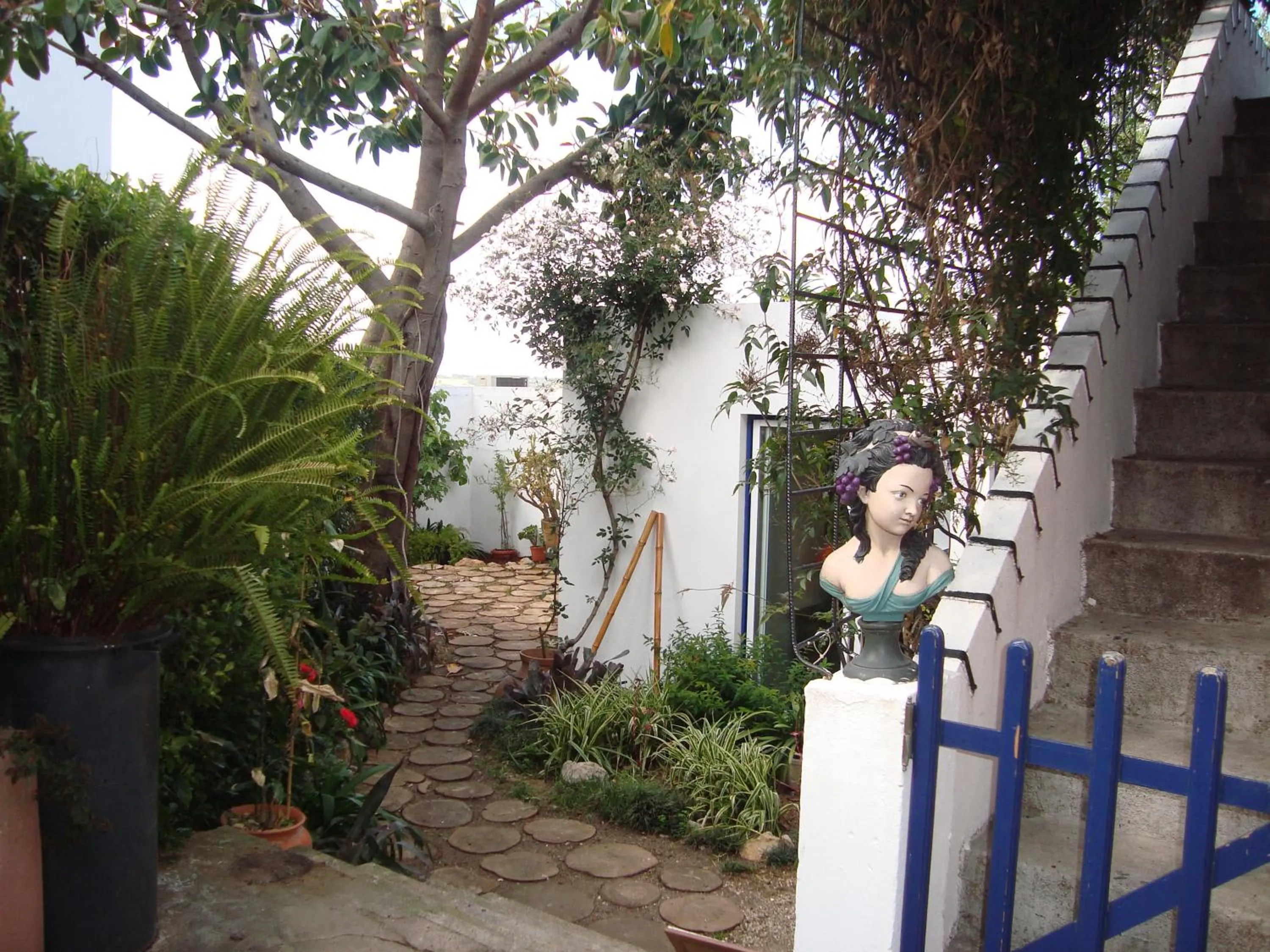 Casa do Jasmim