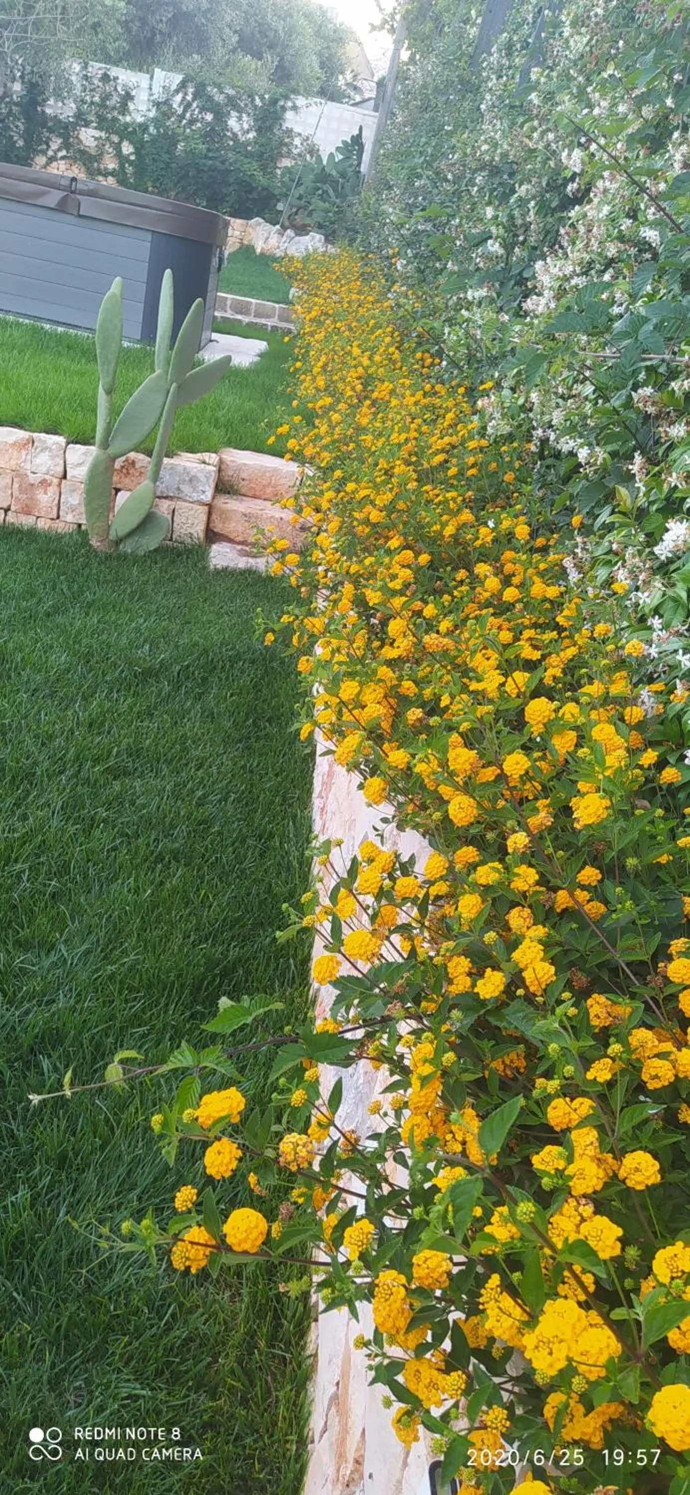 Spring in Dimora San Quirico - bed e breakfast - Cisternino