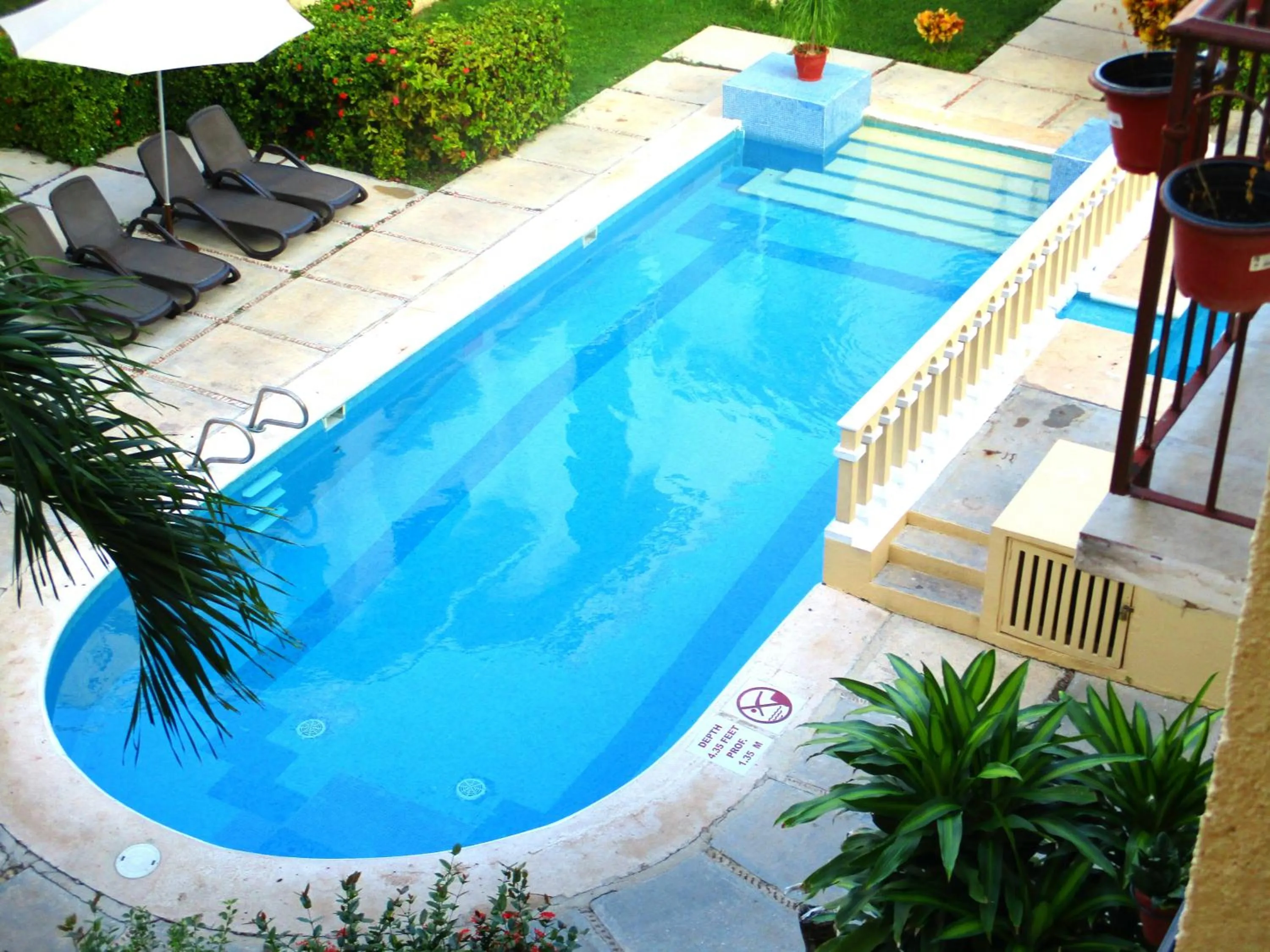 Swimming pool in Tropical apartment