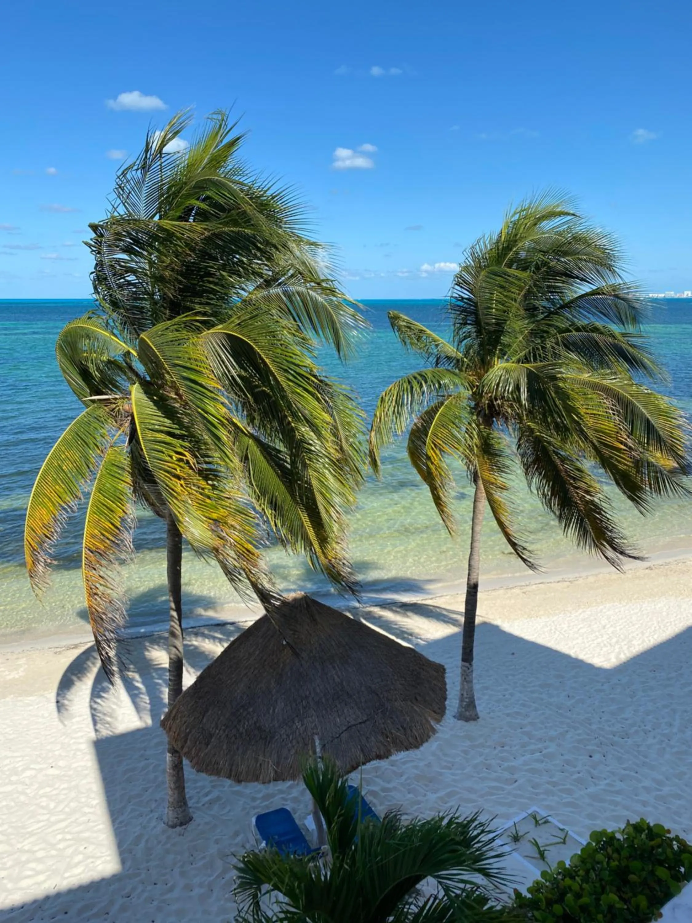 Beach in Tropical apartment