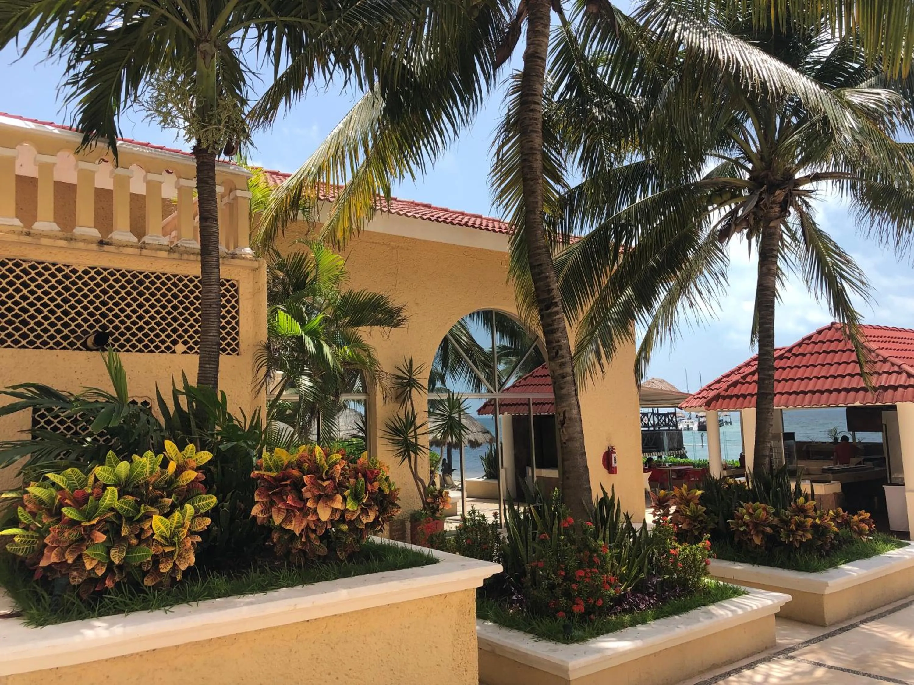 Restaurant/places to eat in Tropical apartment