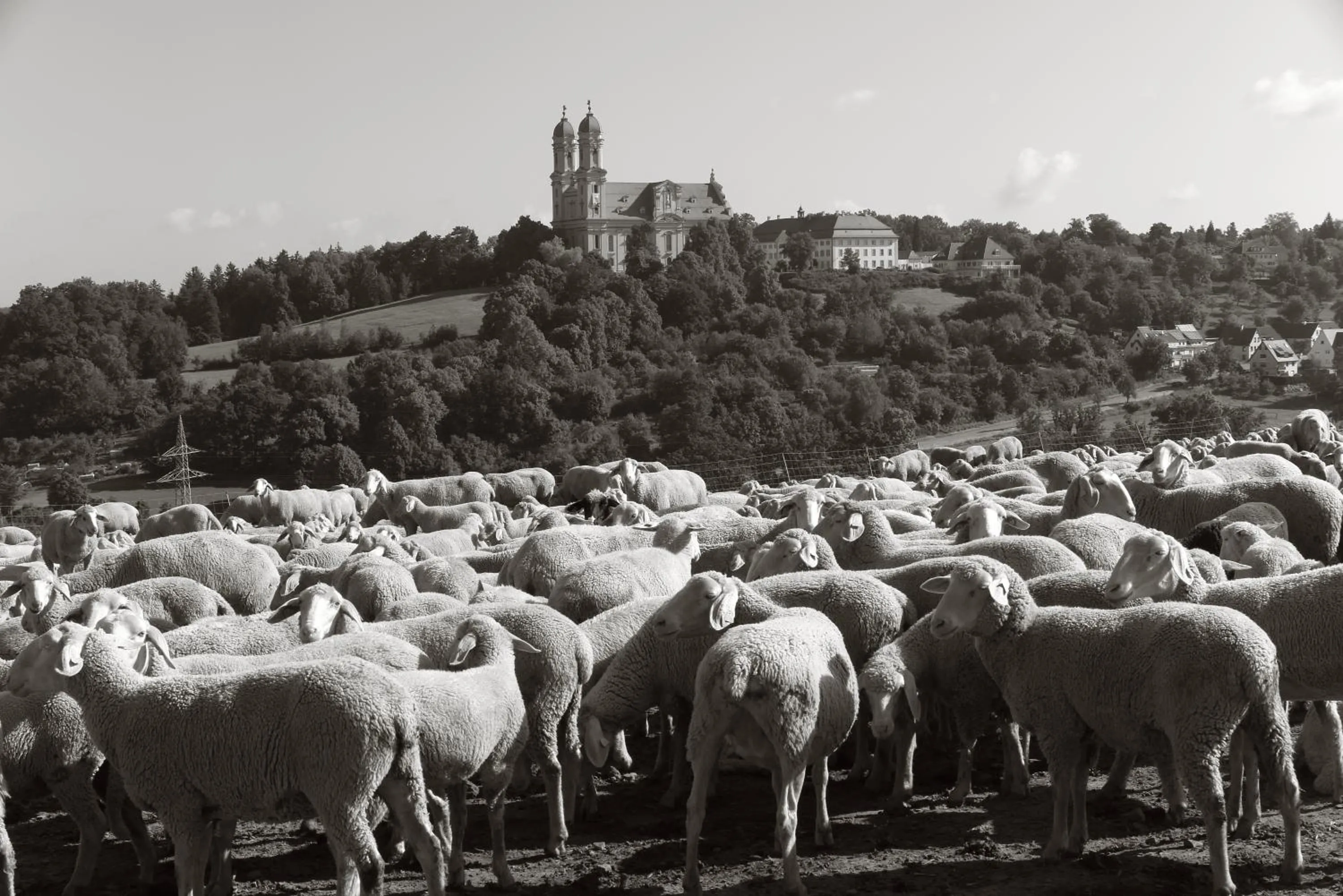 Nearby landmark in Seegasthof Franz Bolz GBR