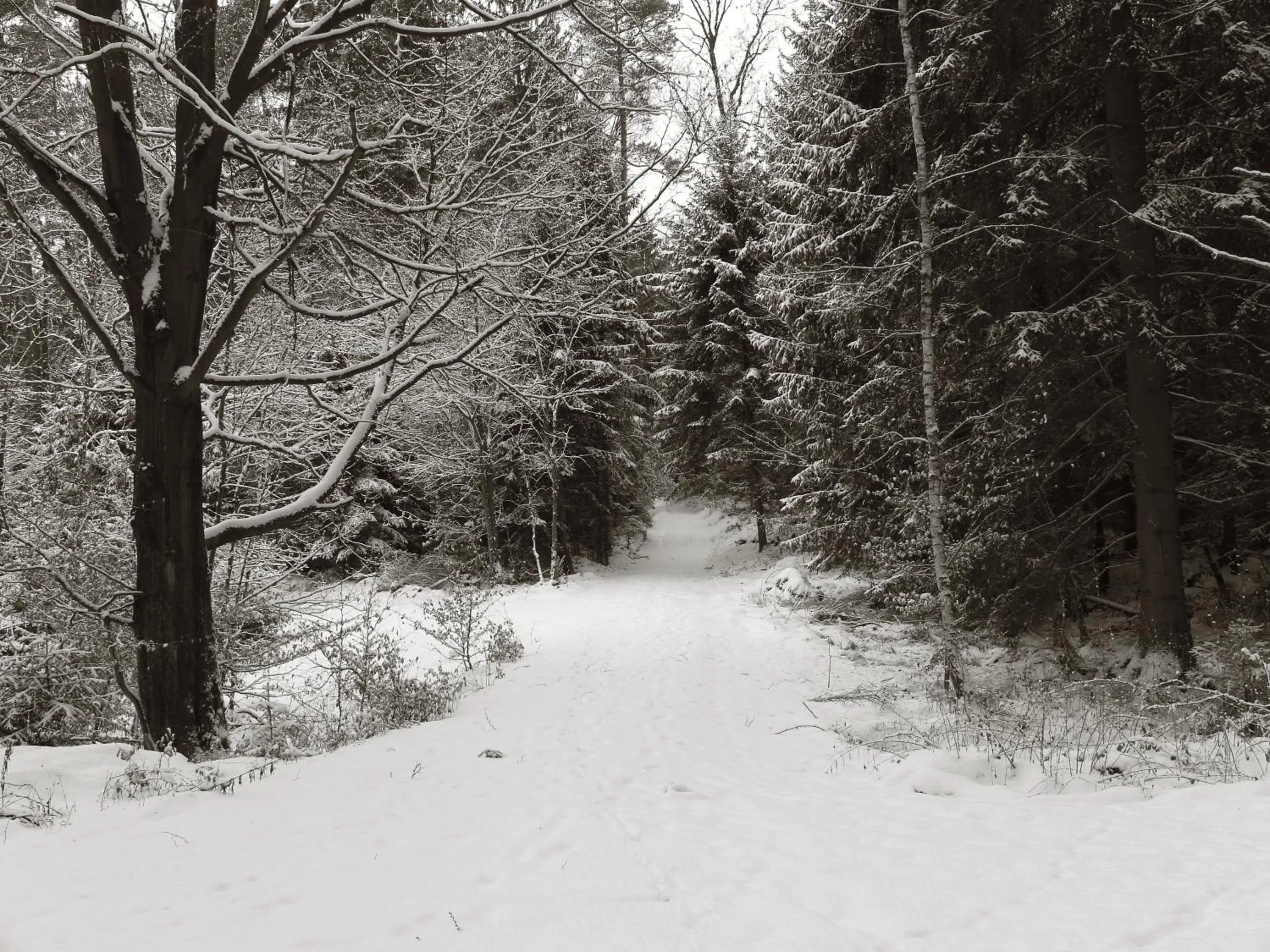 Hiking in Seegasthof Franz Bolz GBR