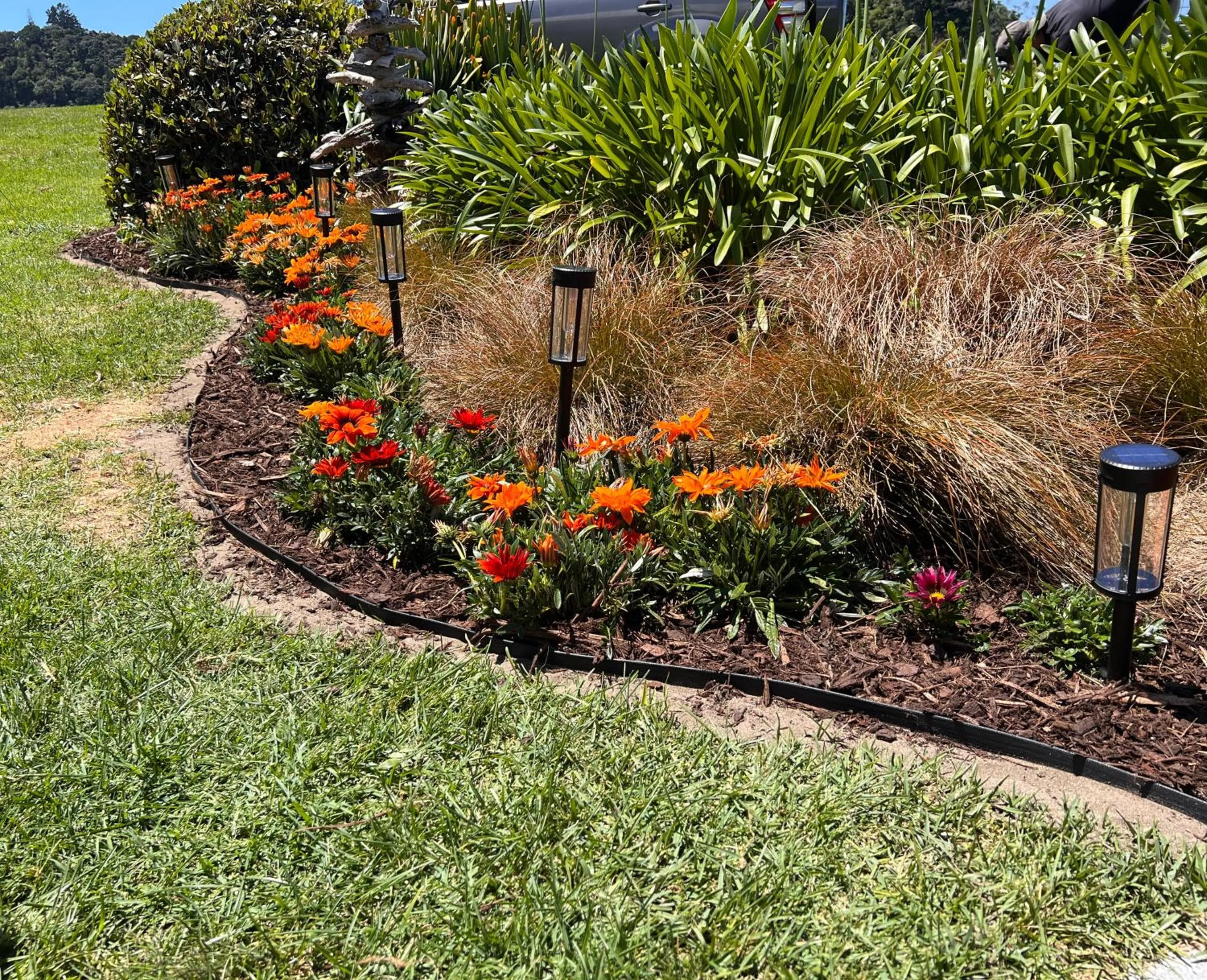 Garden in Absolute Beach front-Tutukaka Harbour