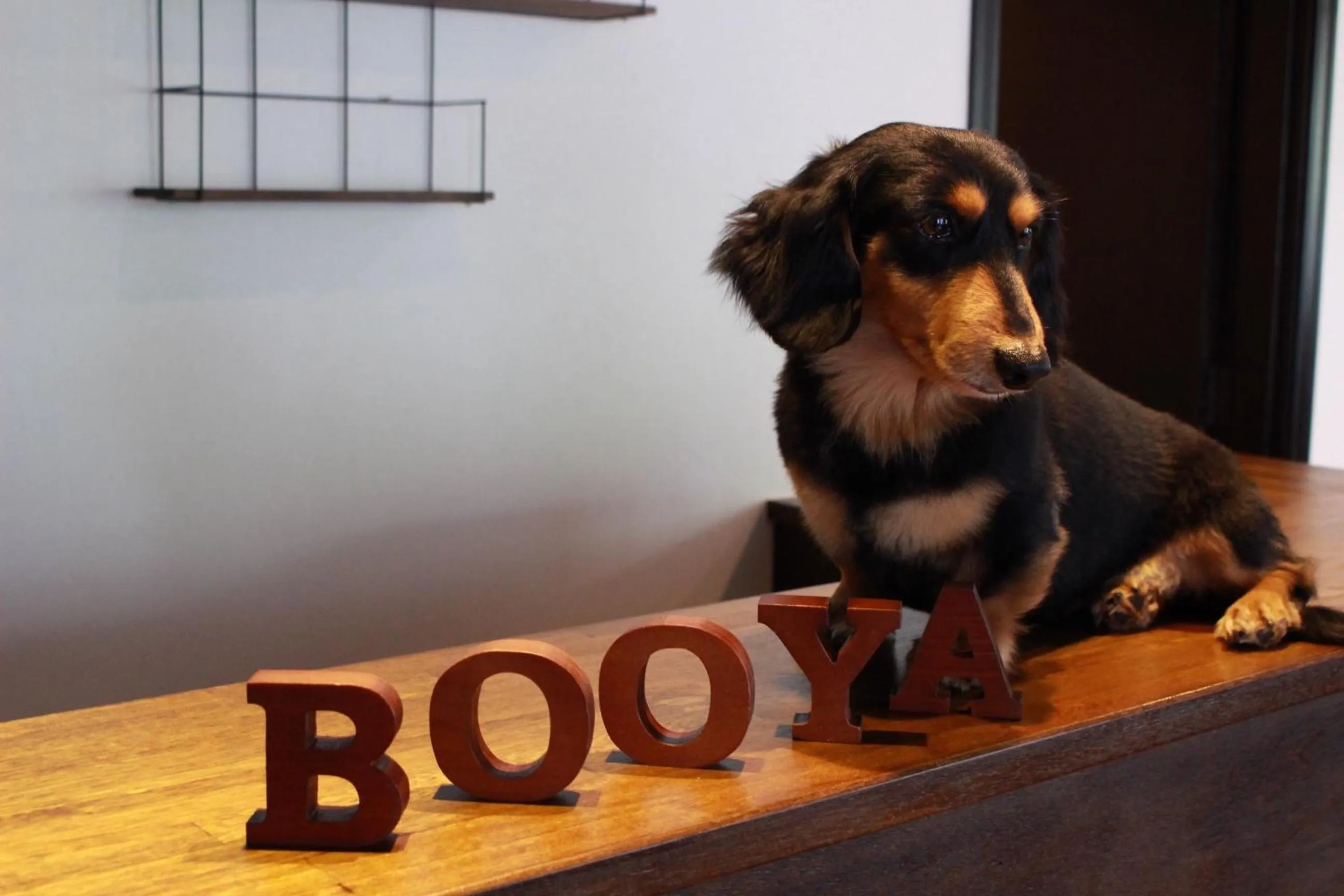 Property logo or sign in Nangoku Lodge Booya