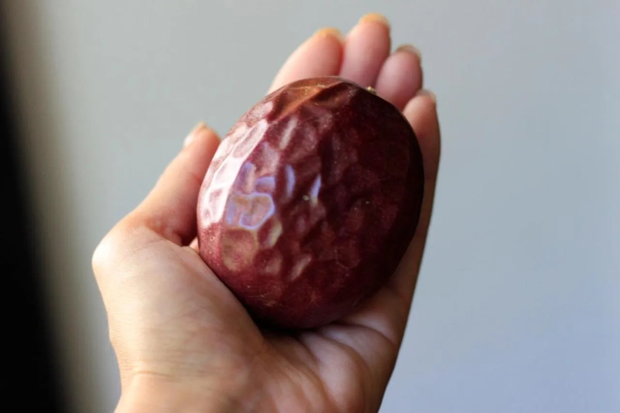 Food and drinks in Nangoku Lodge Booya