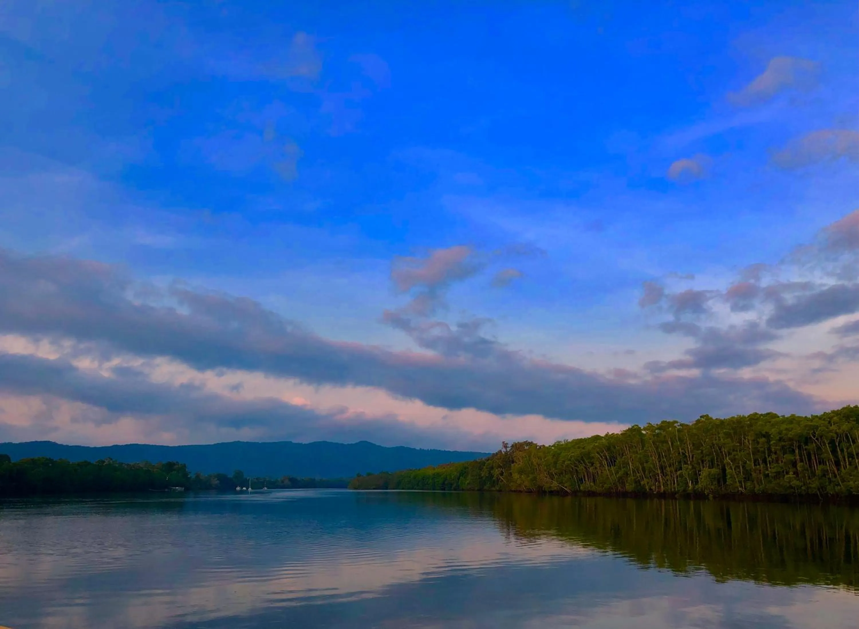 Nearby landmark in Daintree Manor B&B