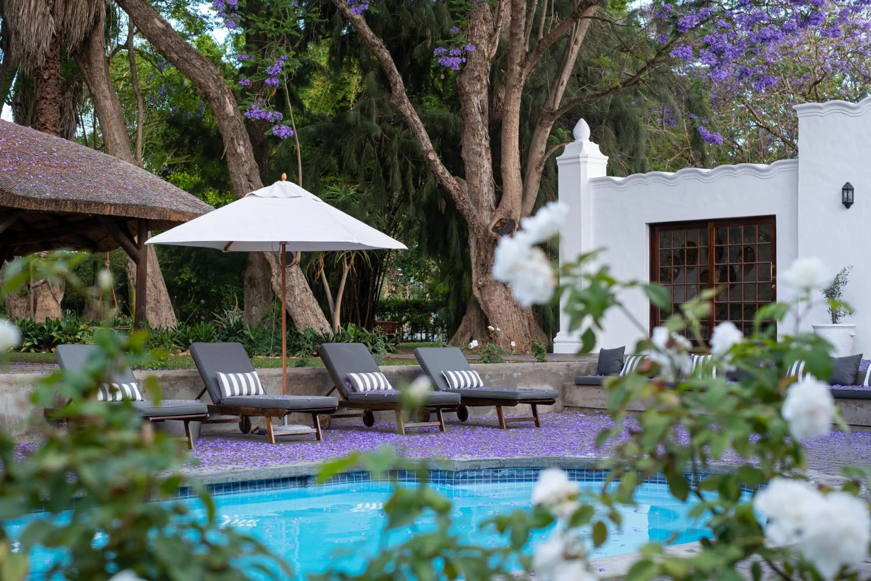 Swimming pool in Stellenhof Country Estate