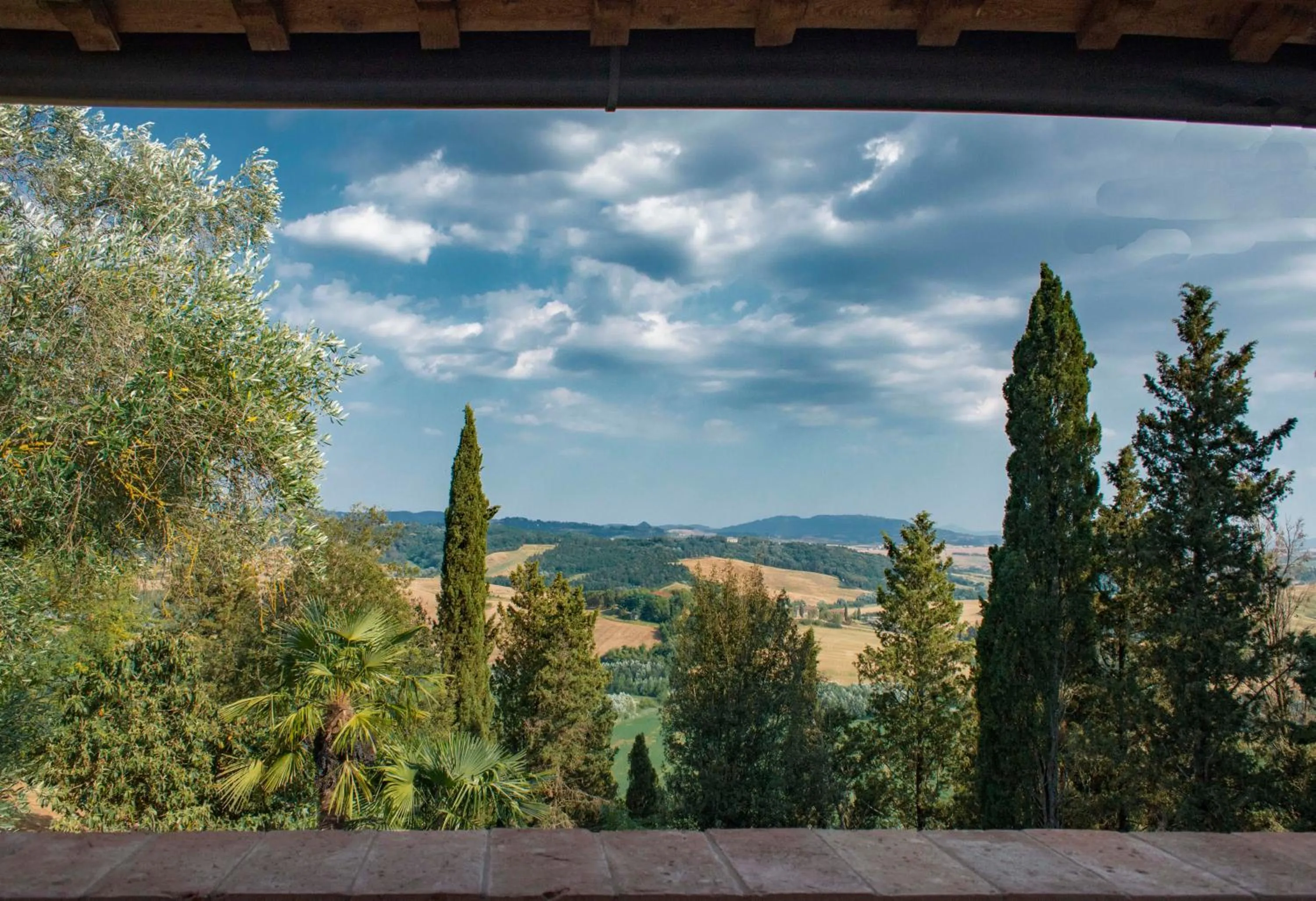 View (from property/room) in BB Gli Aristogatti