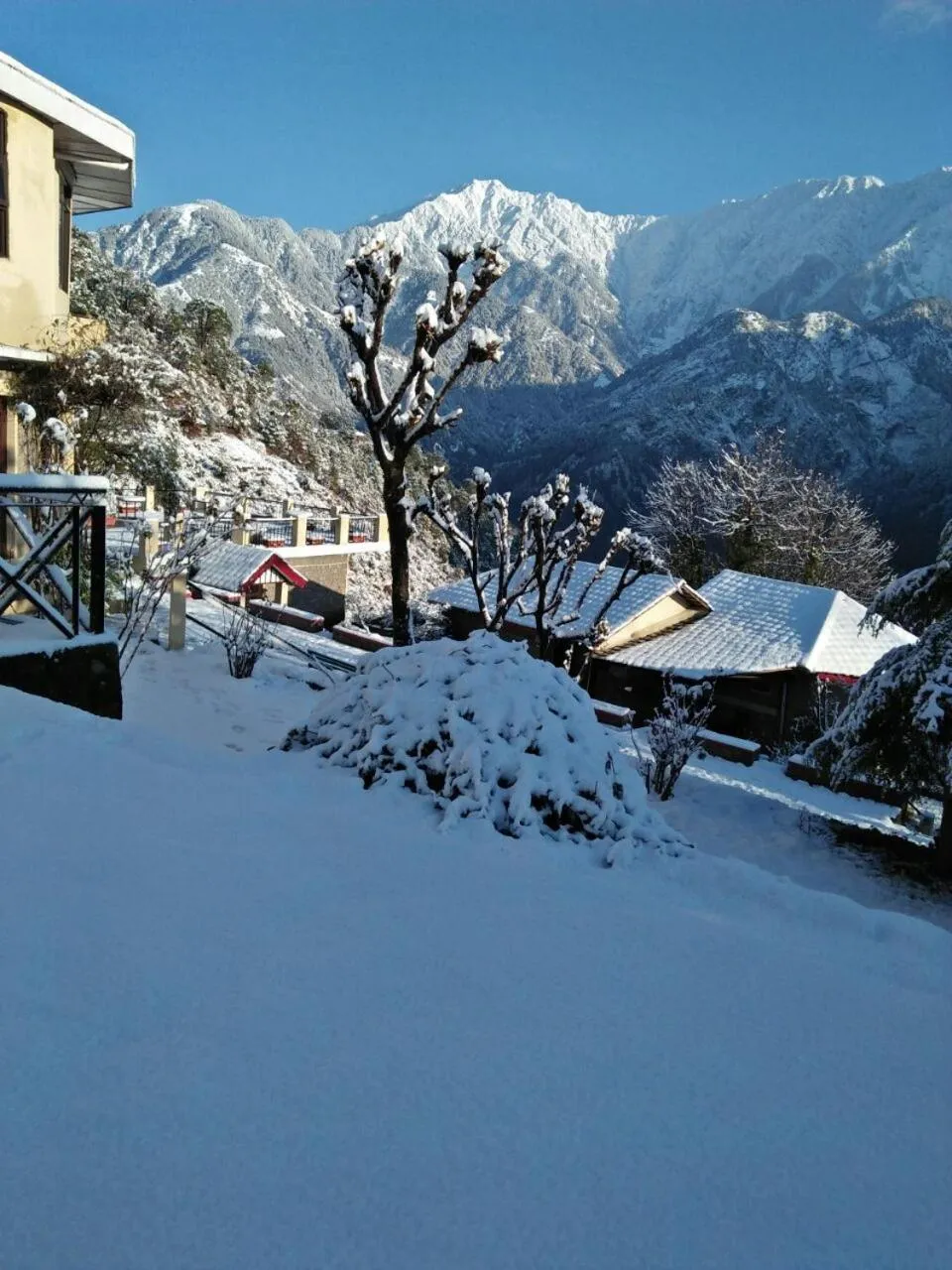 Hotel Udechee Huts, McLeod Ganj