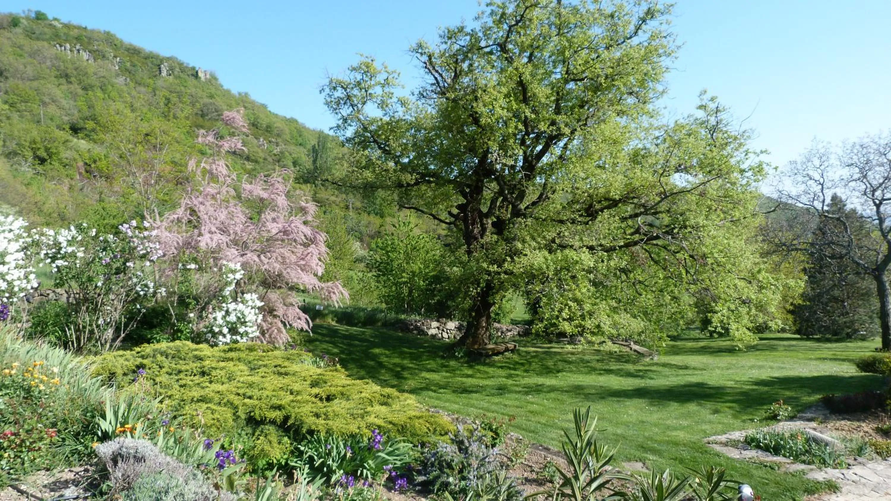 Garden in Logis Hôtel-restaurant La Mère Biquette