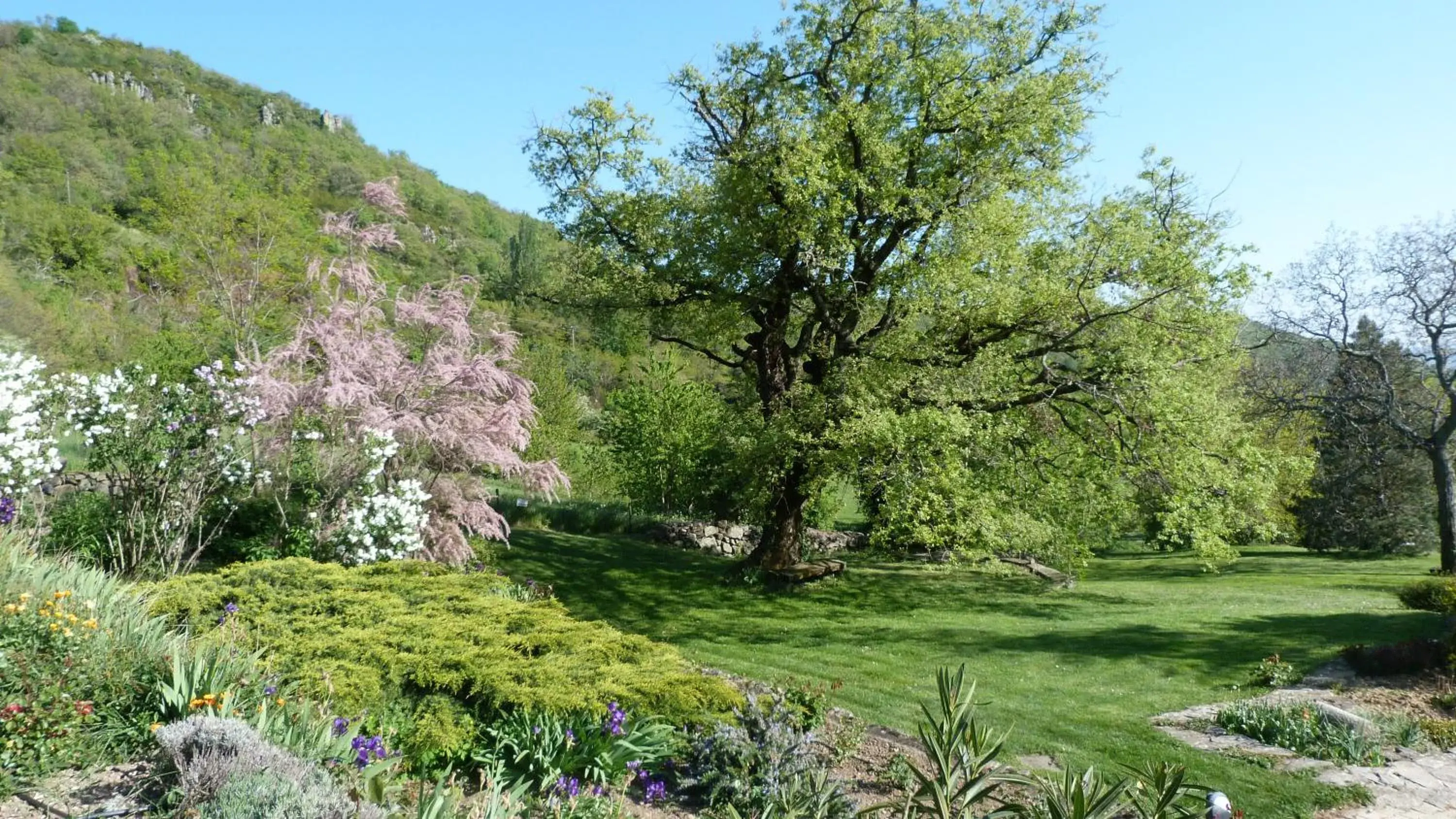 Garden in Logis Hôtel-restaurant La Mère Biquette Garden in Logis Hôtel-restaurant La Mère Biquette