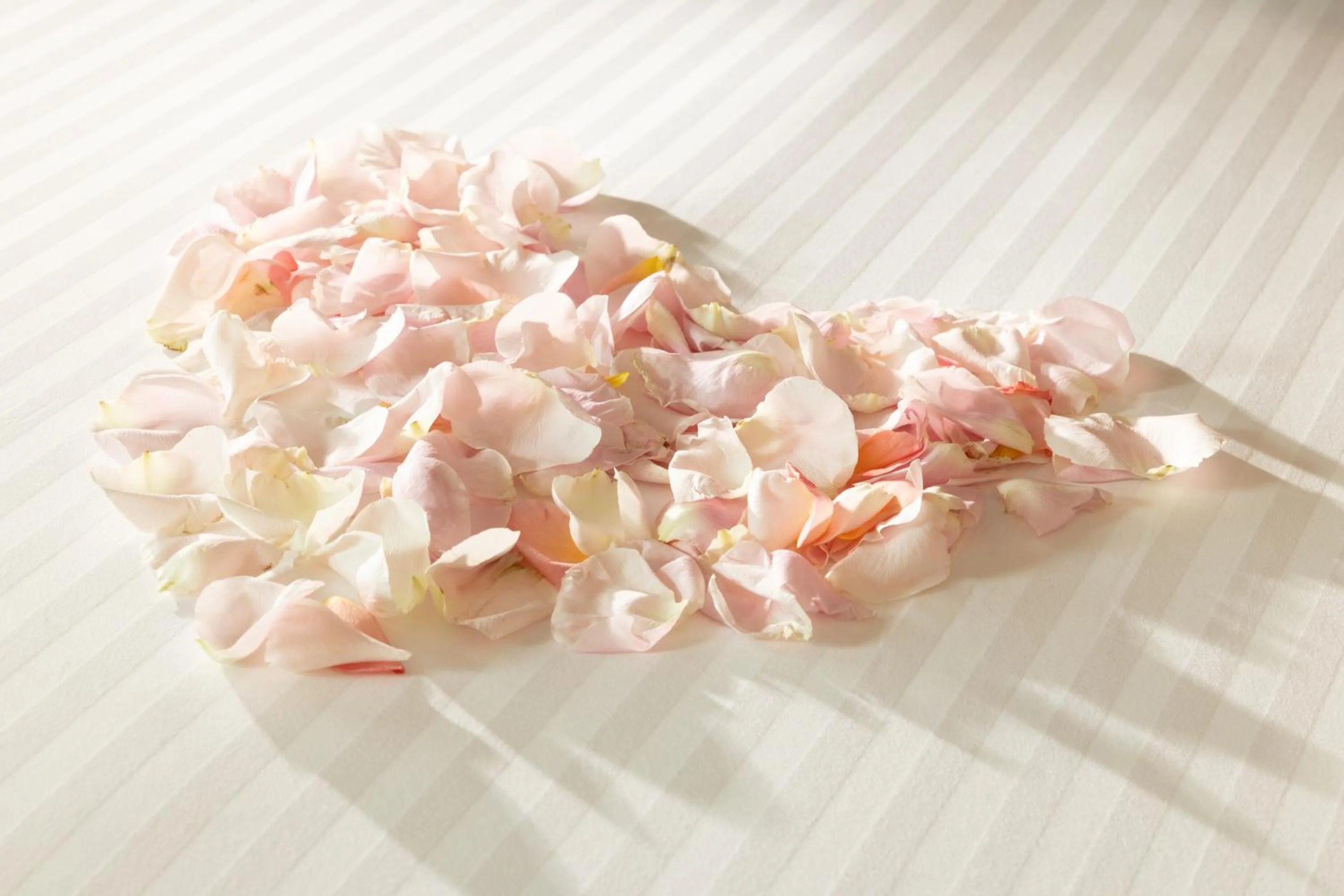 Decorative detail in Hôtel La Maison Bord'eaux