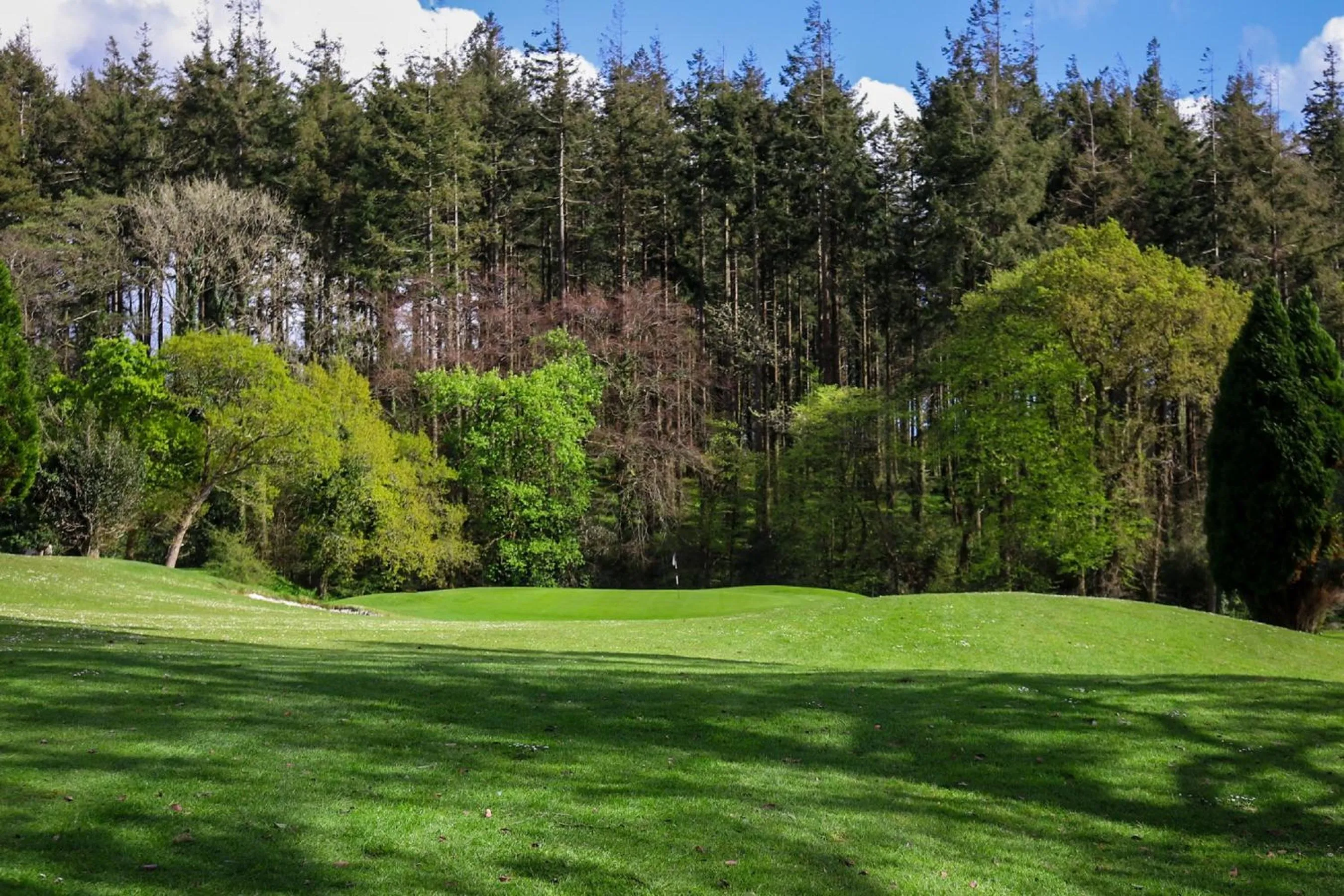 Golfcourse in Elfordleigh Hotel