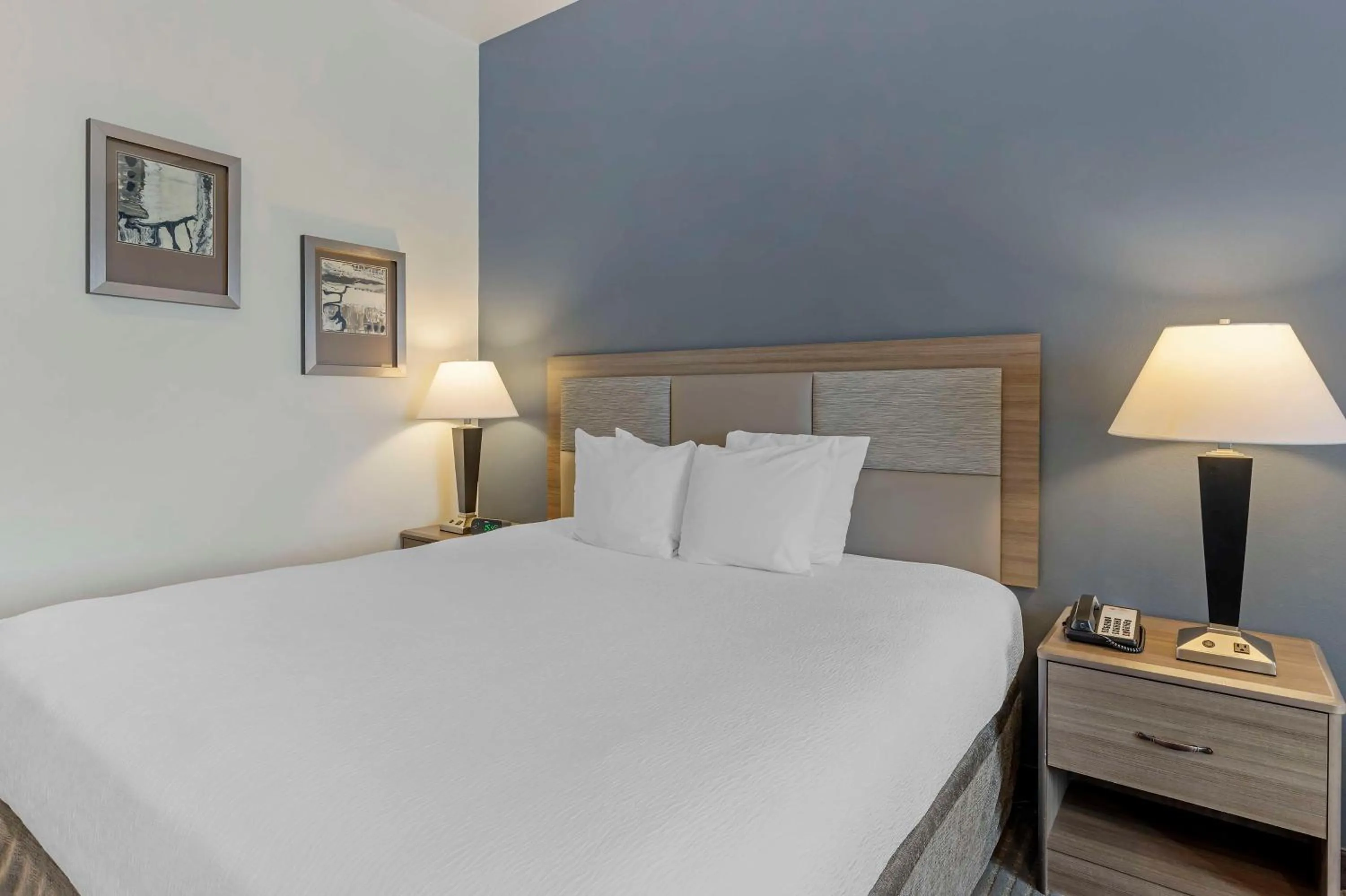 Bedroom, Bed in Best Western Plus Peppertree Nampa Civic Center Inn