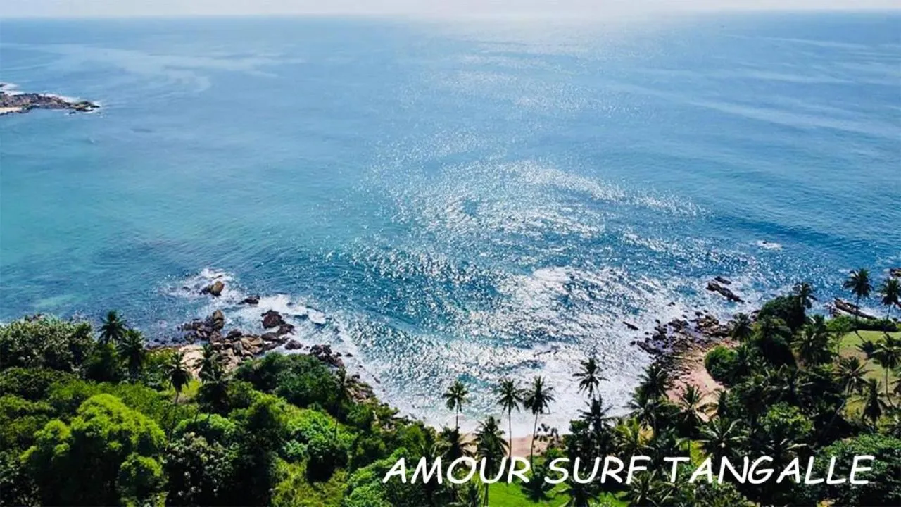 Amour Surf