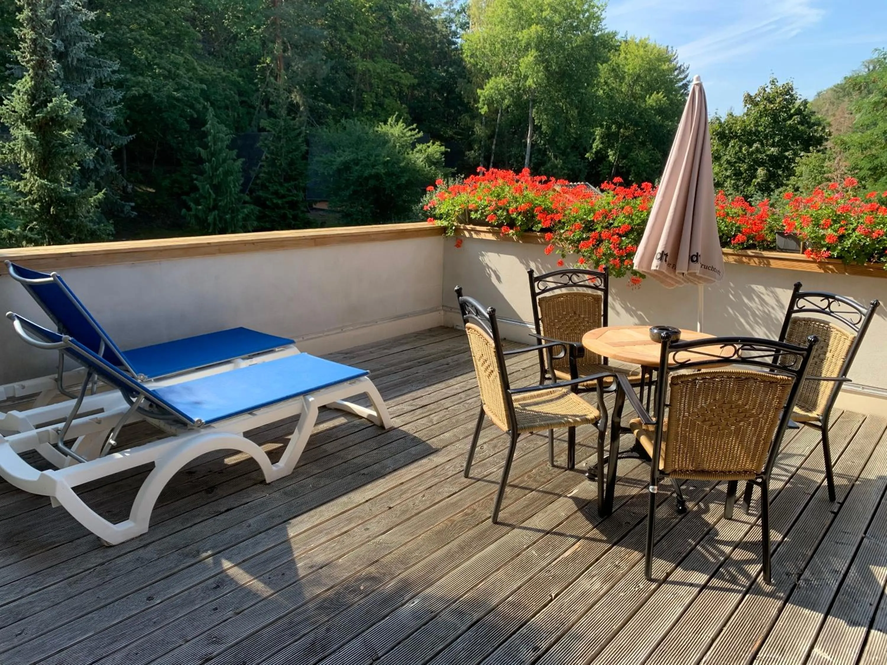 Balcony/Terrace in Family Club Harz