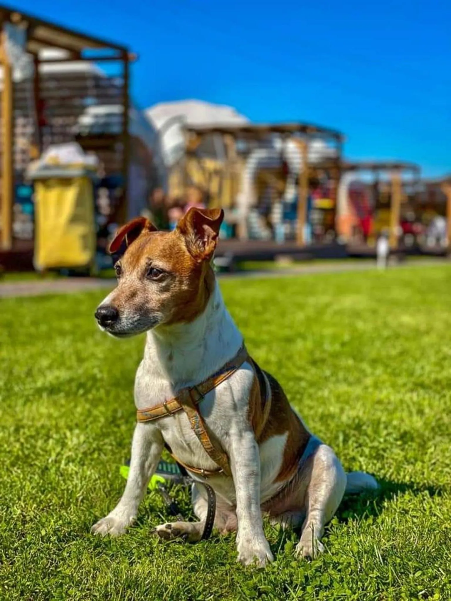 Property building in Holiday Park Zator