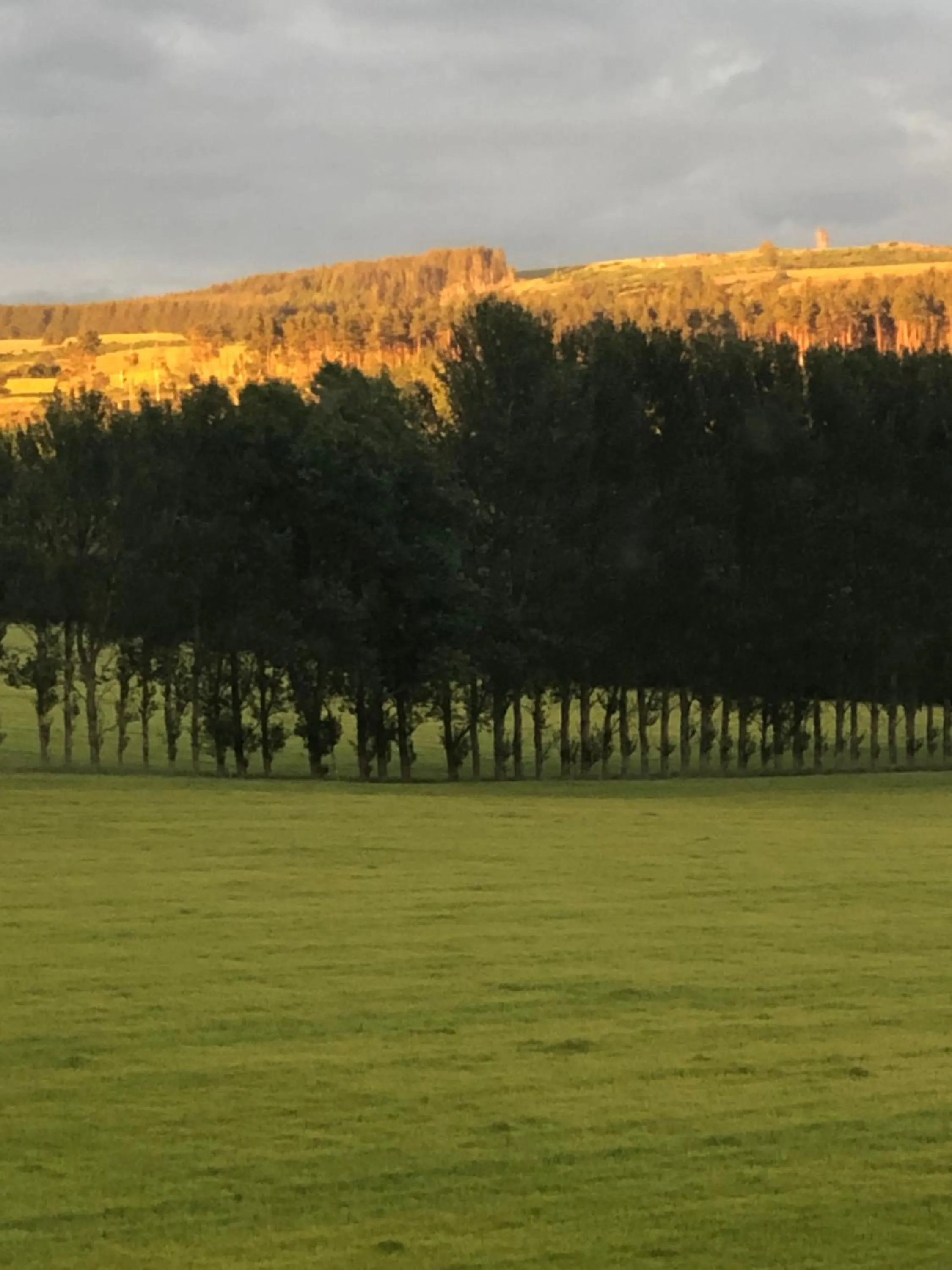 Natural landscape in Doura Lodge