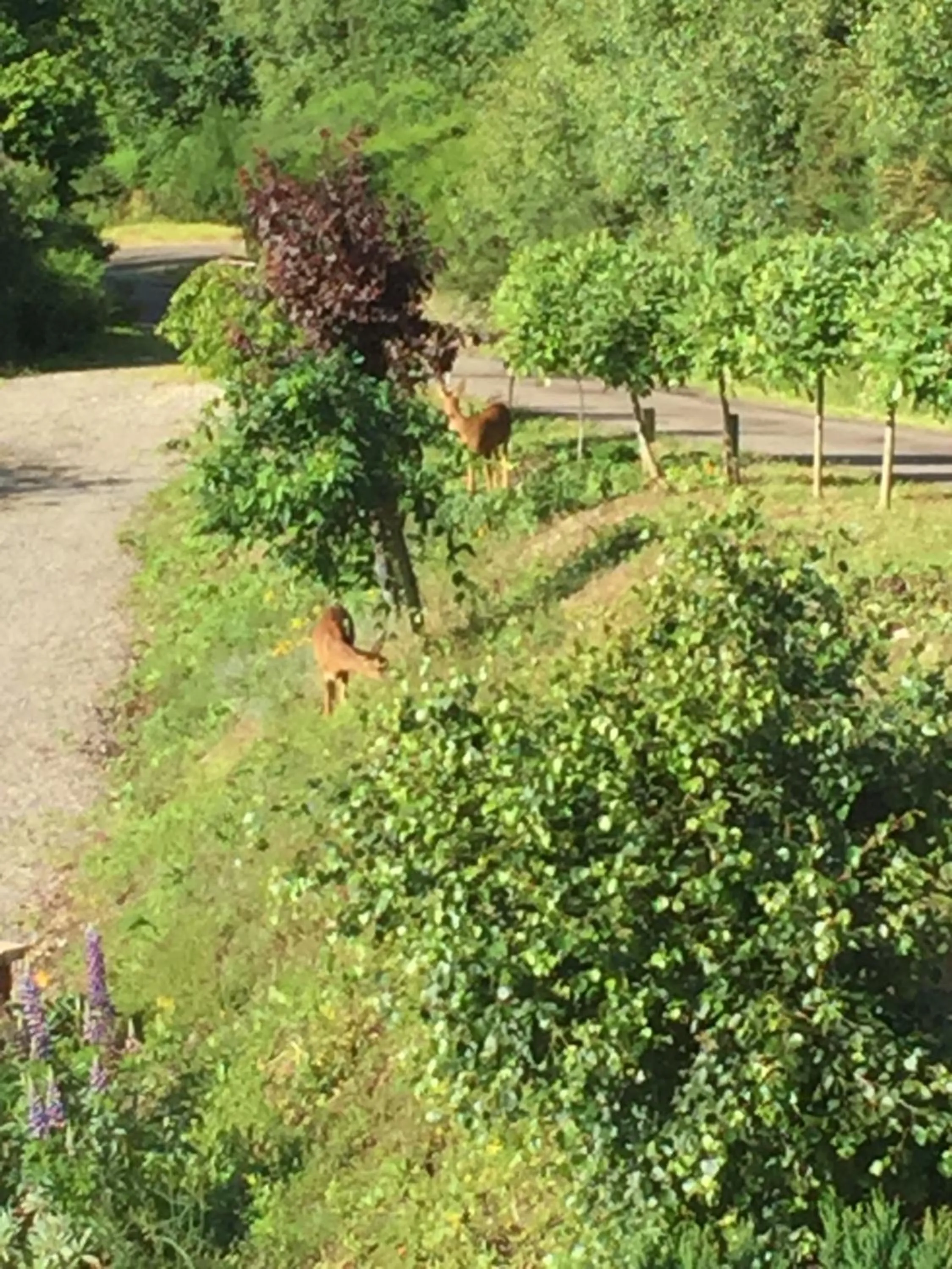 Natural landscape in Doura Lodge