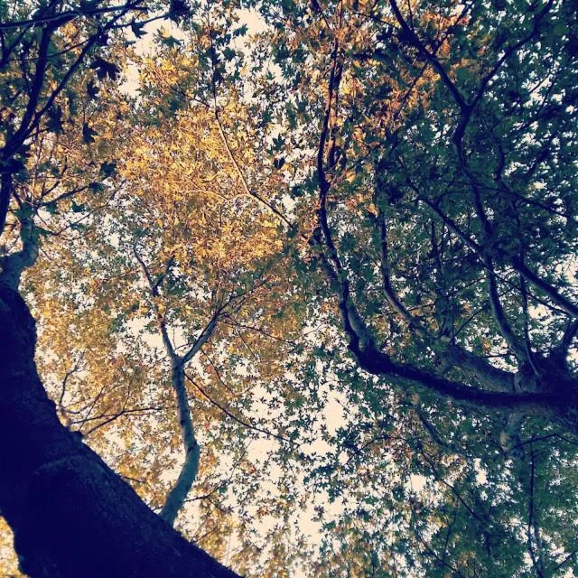 Natural landscape in Olympos Hotel