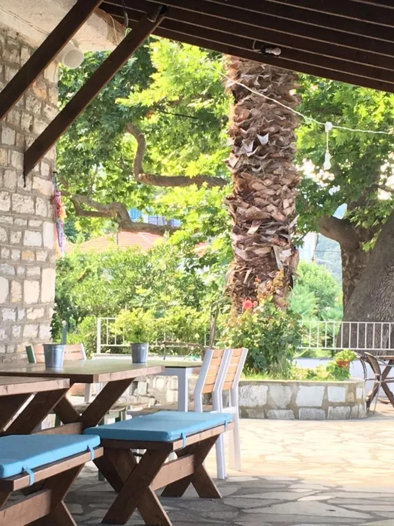 Restaurant/places to eat in Olympos Hotel