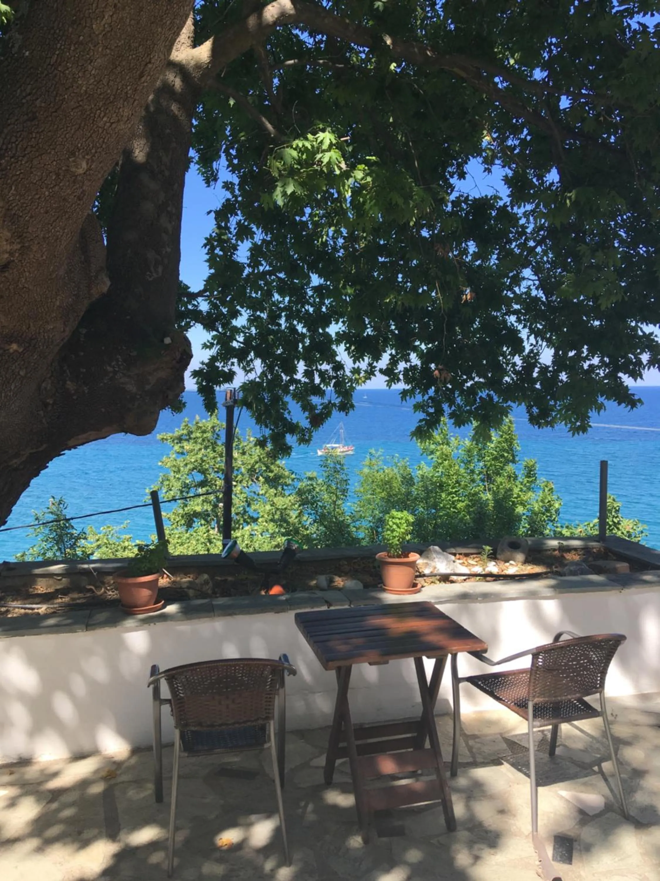 Balcony/Terrace in Olympos Hotel
