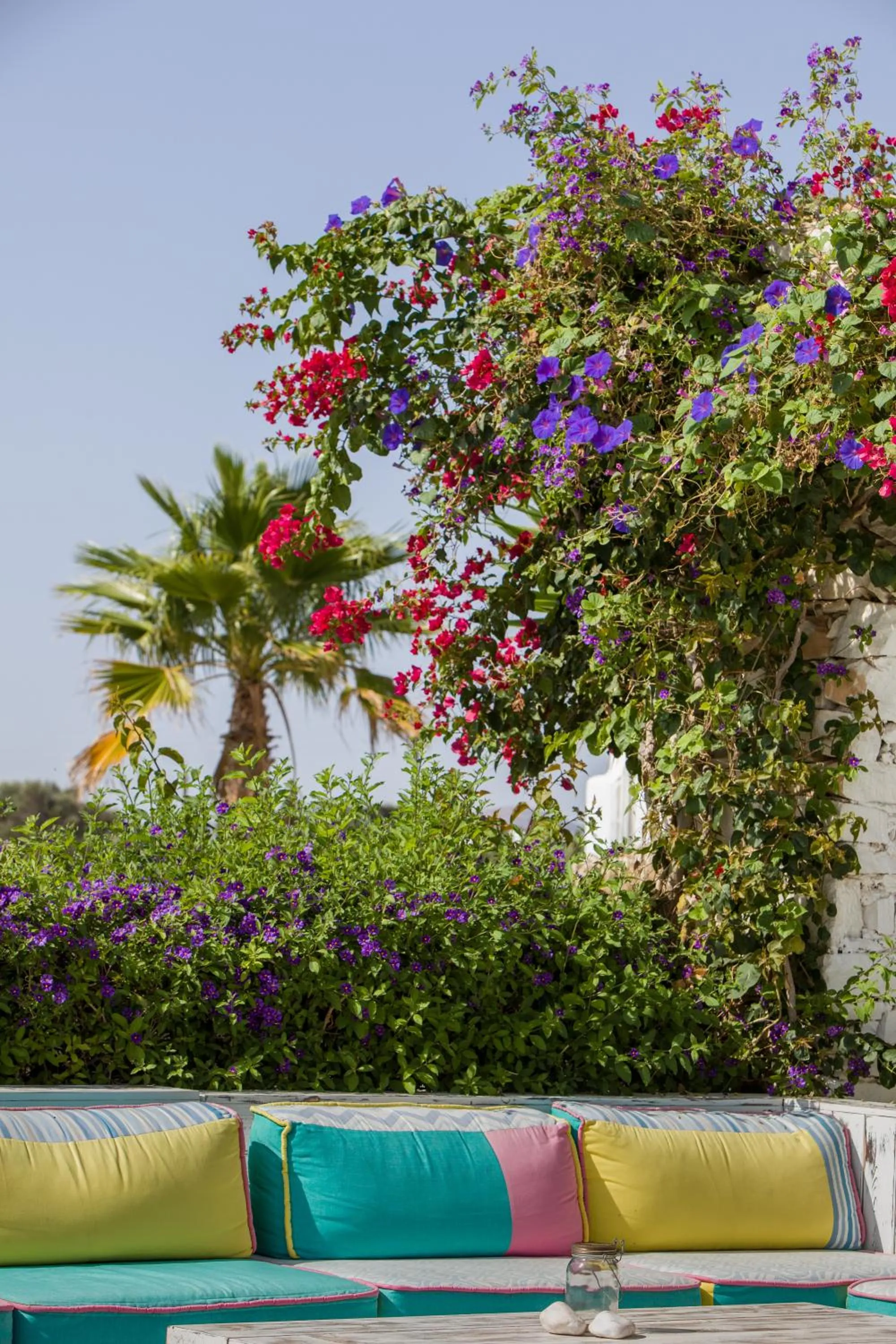 Garden in Golden Beach Hotel