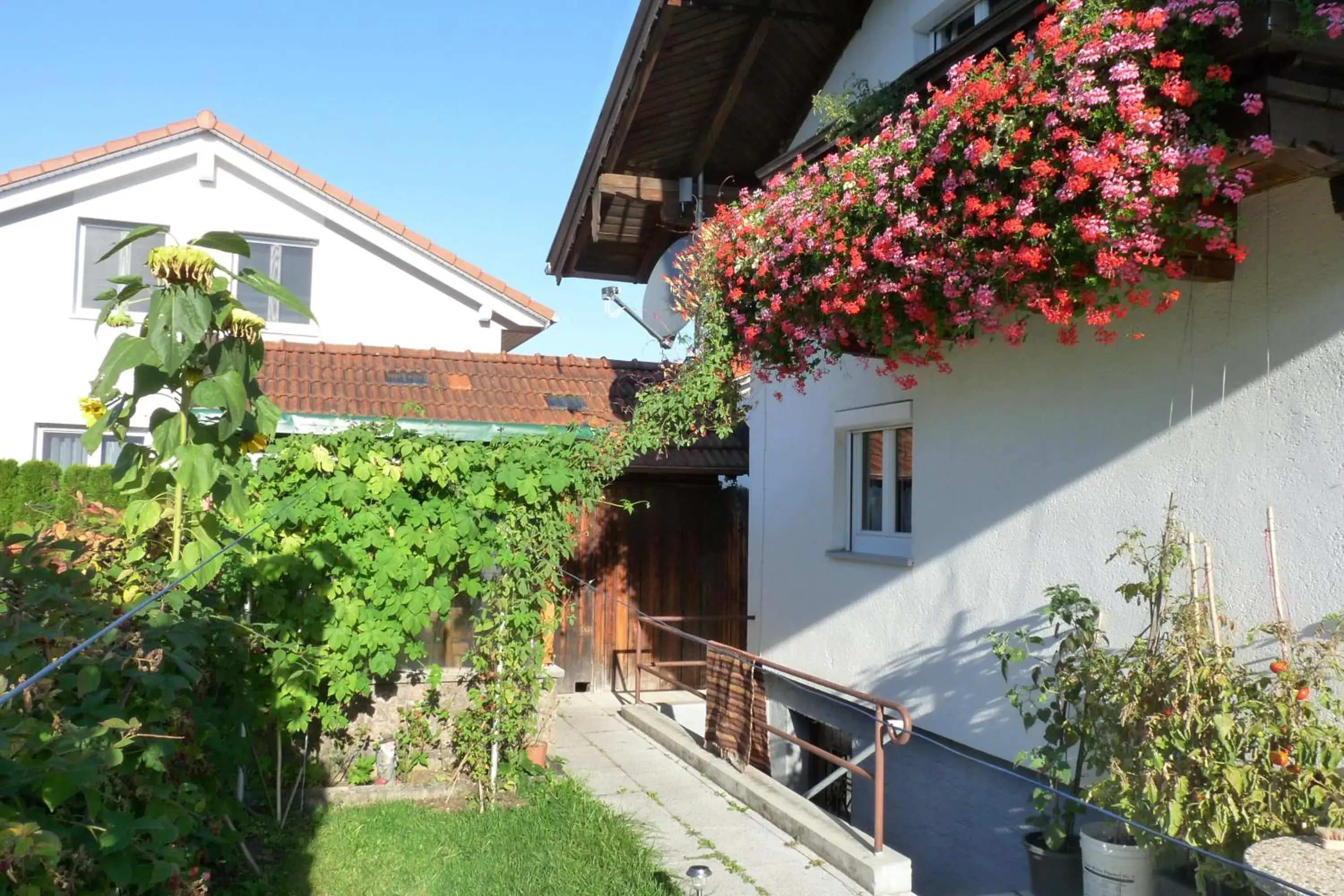 Ferienwohnung Alpenblick Ferienwohnung Alpenblick